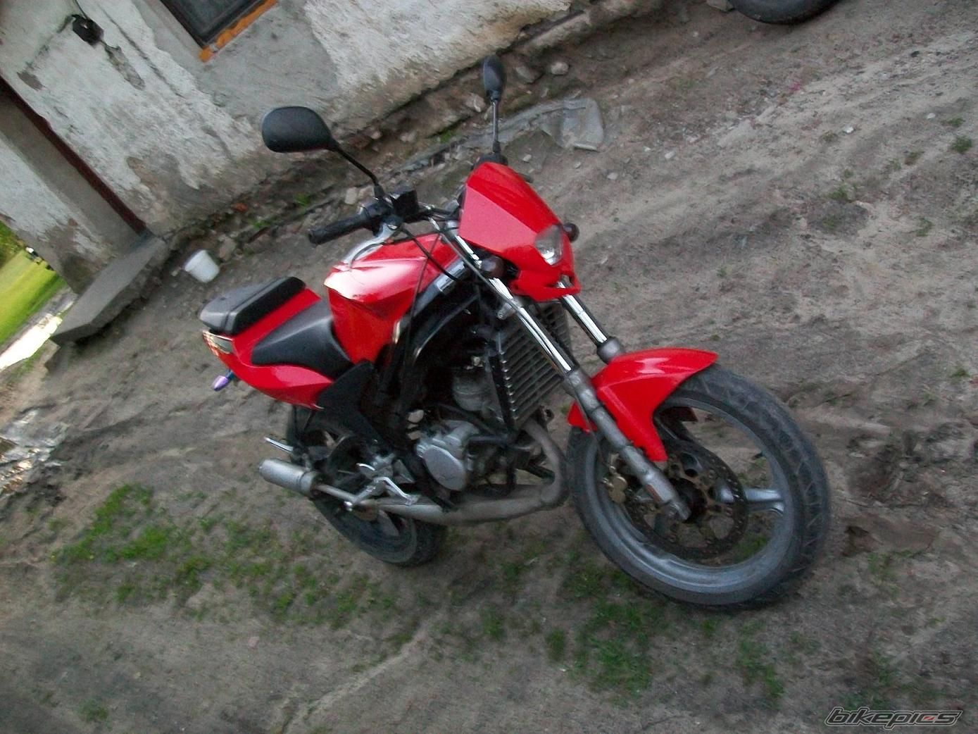 Photo 2565255