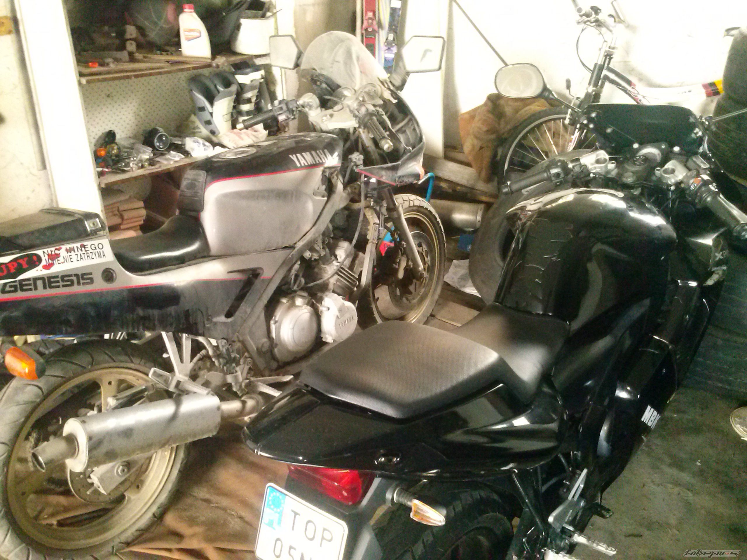 Photo 2565310