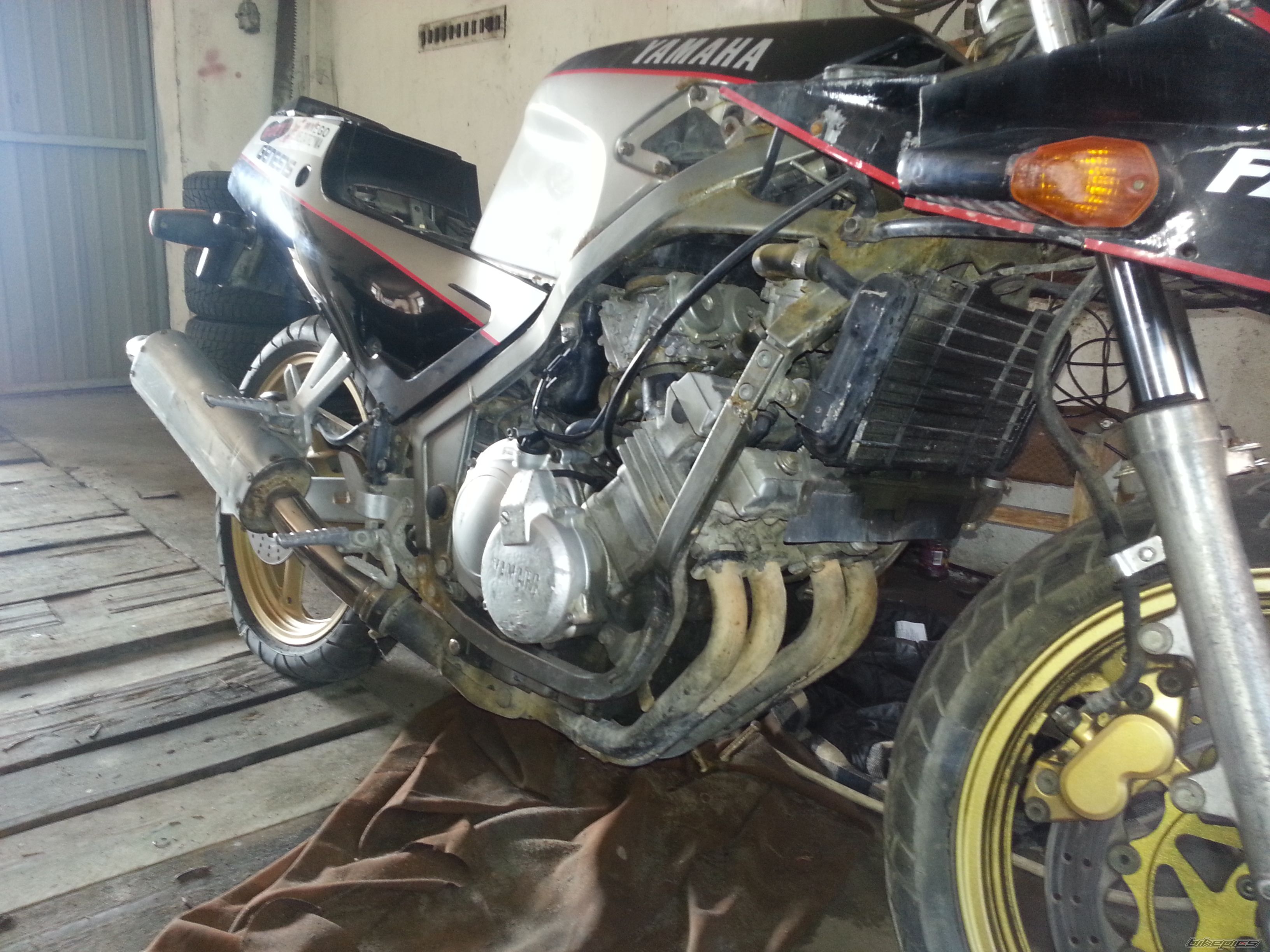 Photo 2565316