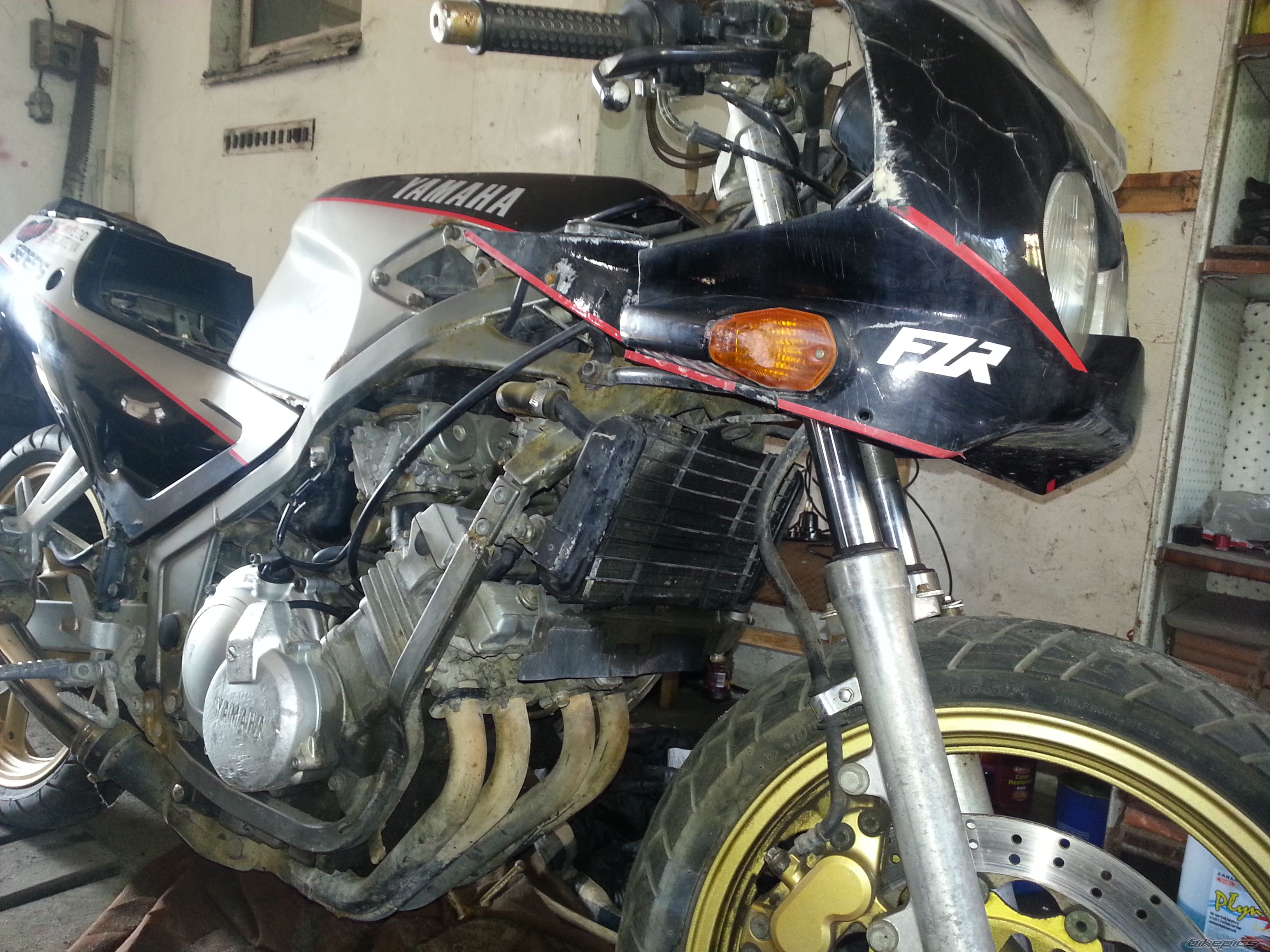 Photo 2565317