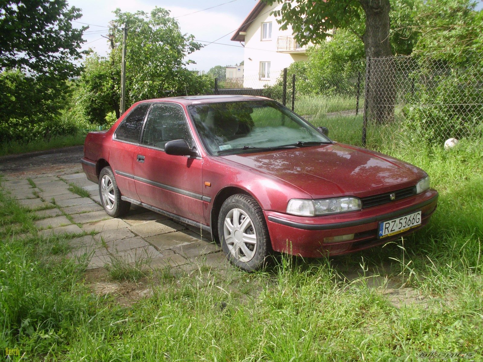 Photo 2565331