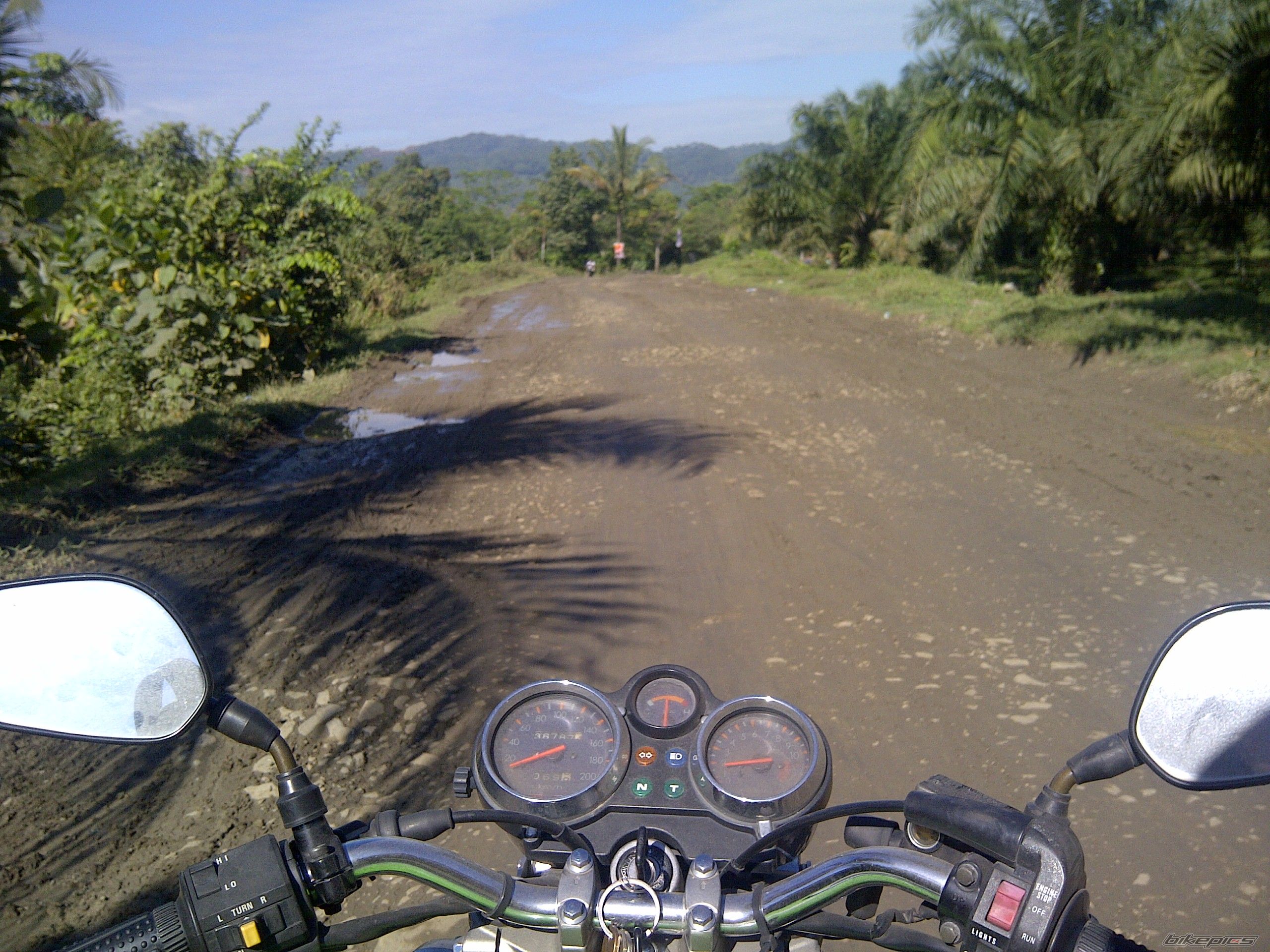 Photo 2565375