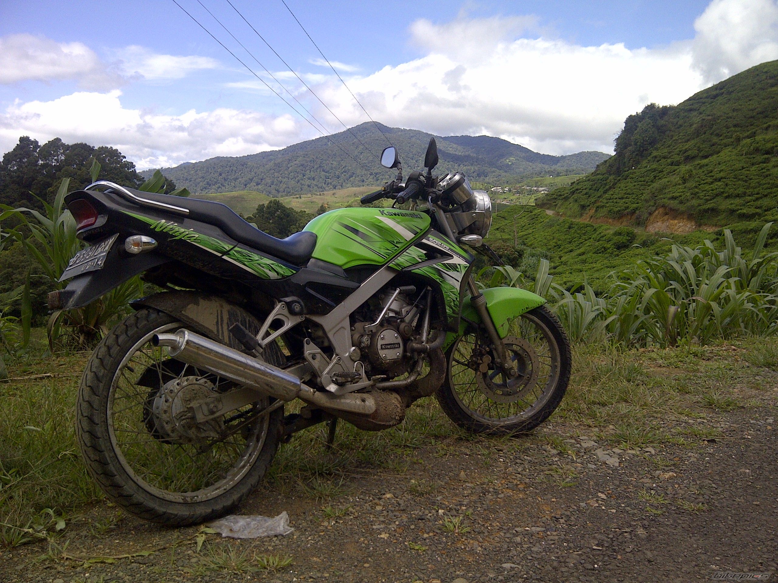 Photo 2565376