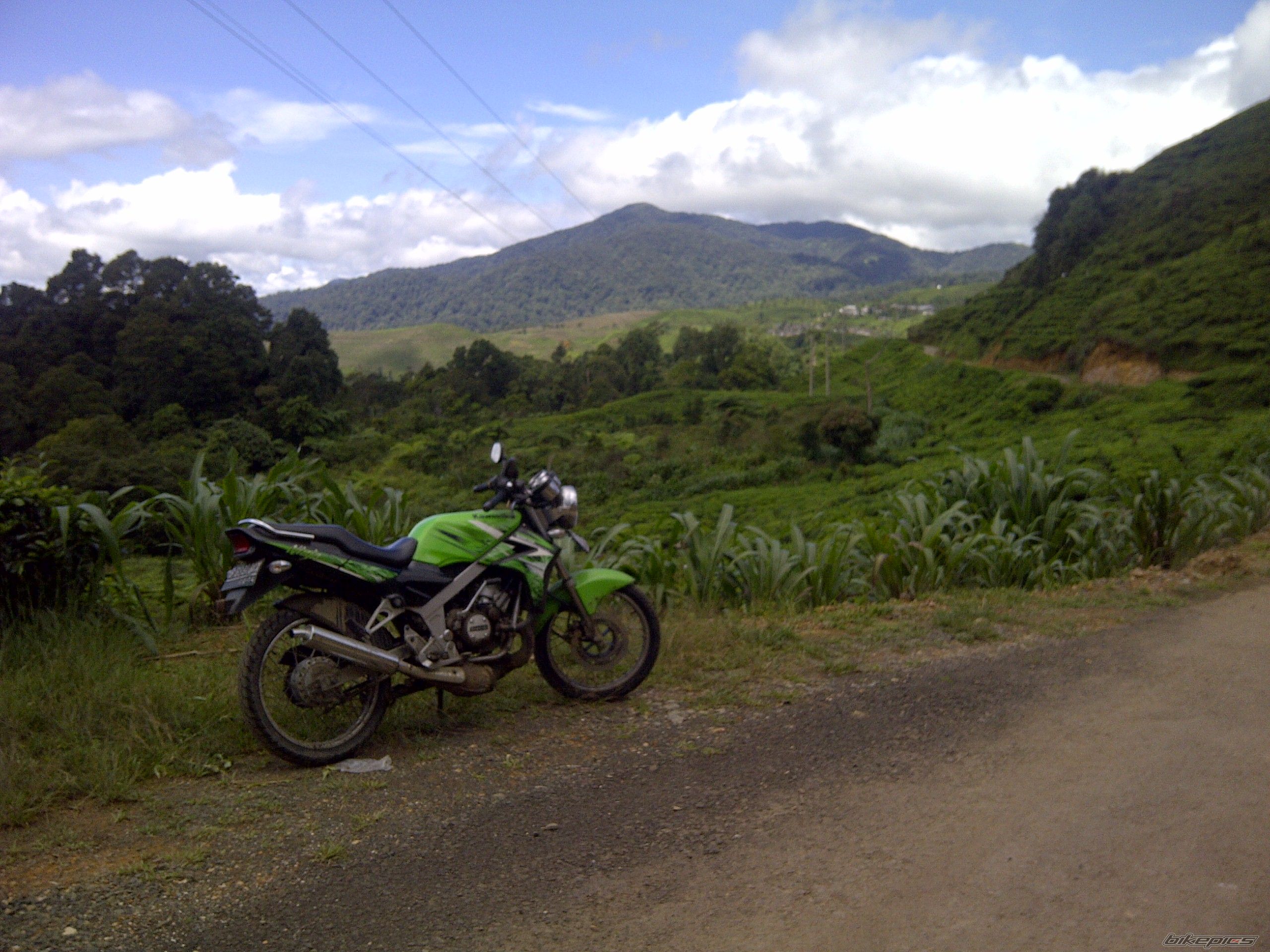 Photo 2565377