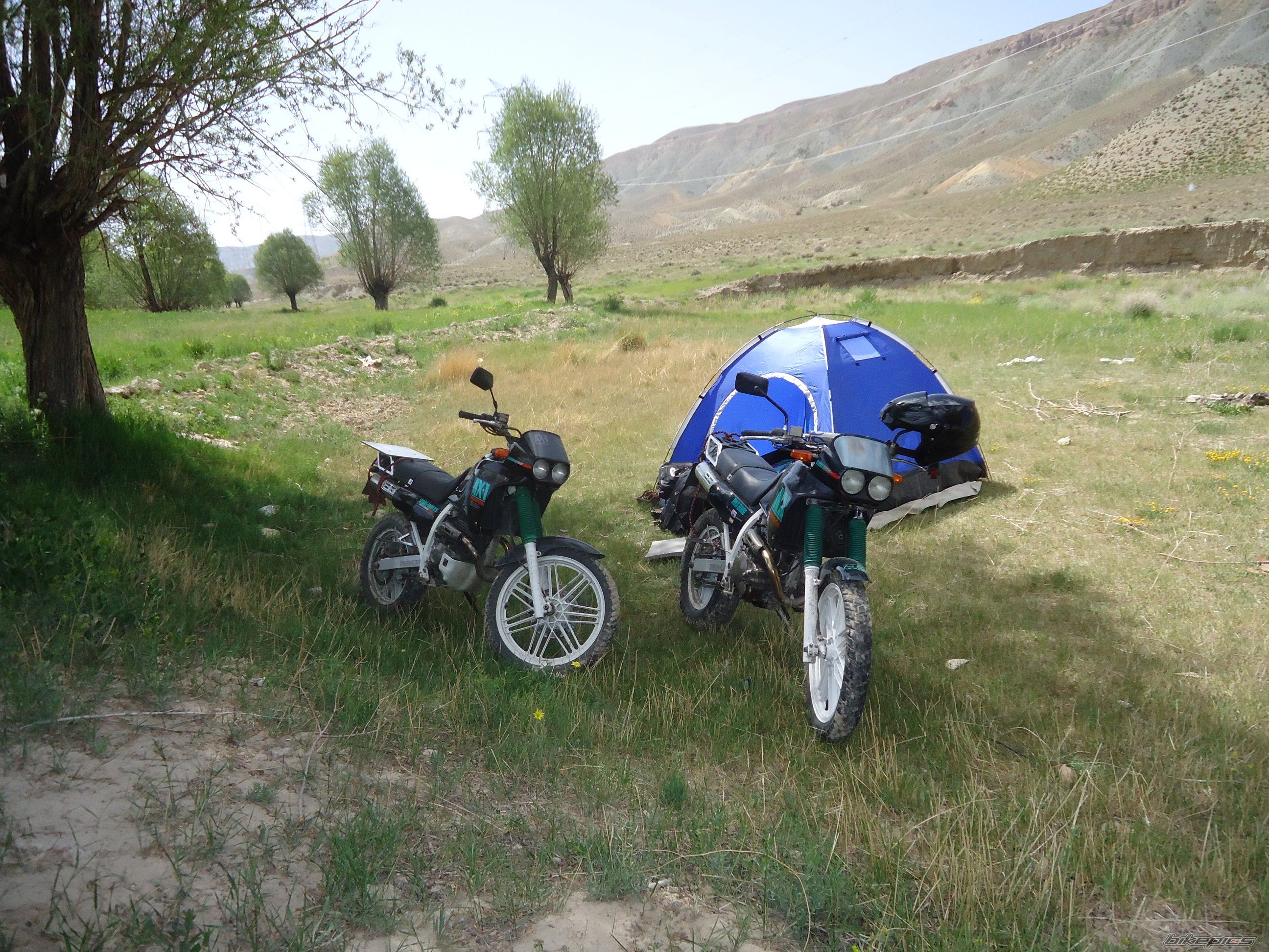 Photo 2565382
