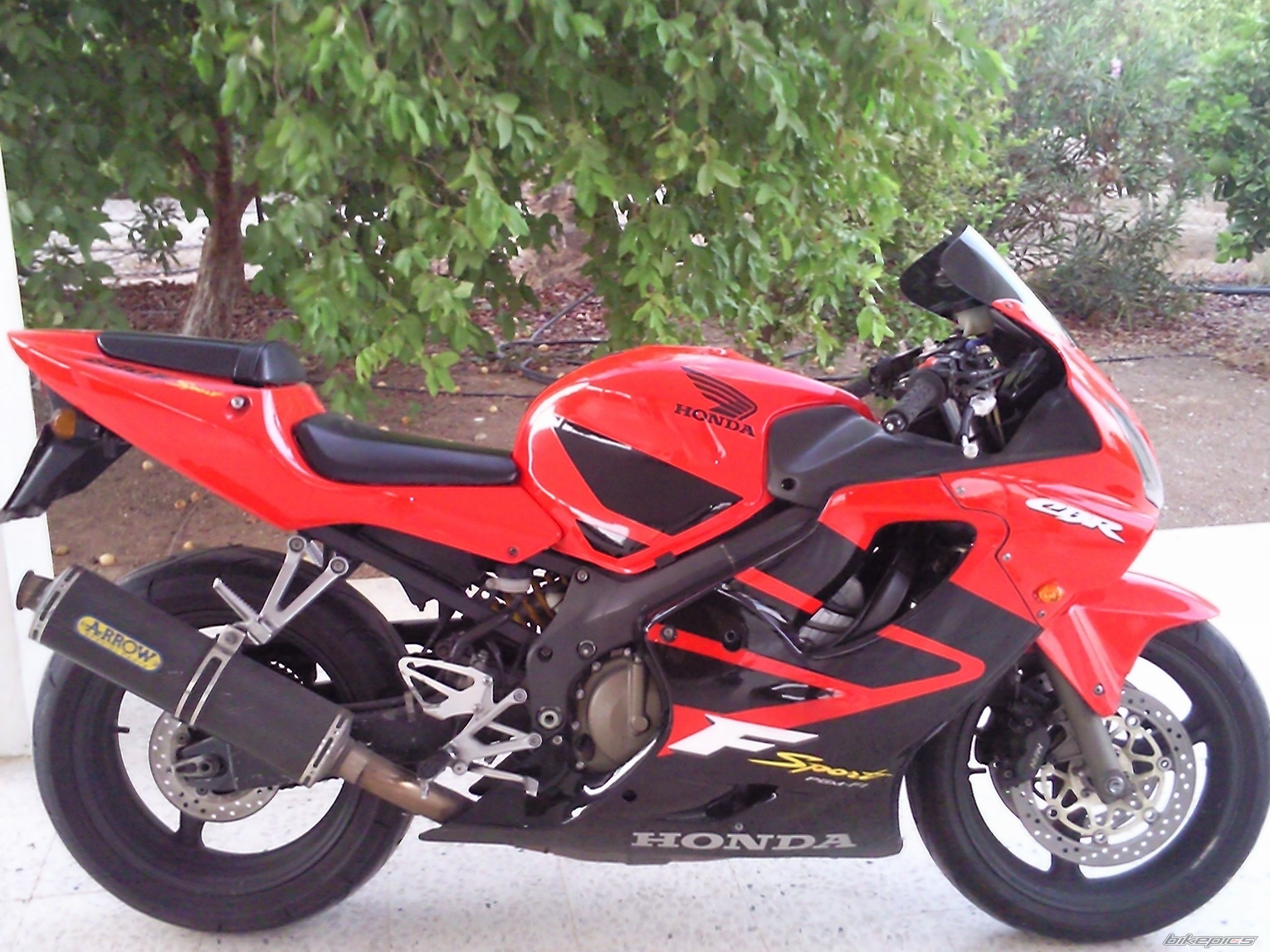 Photo 2565387