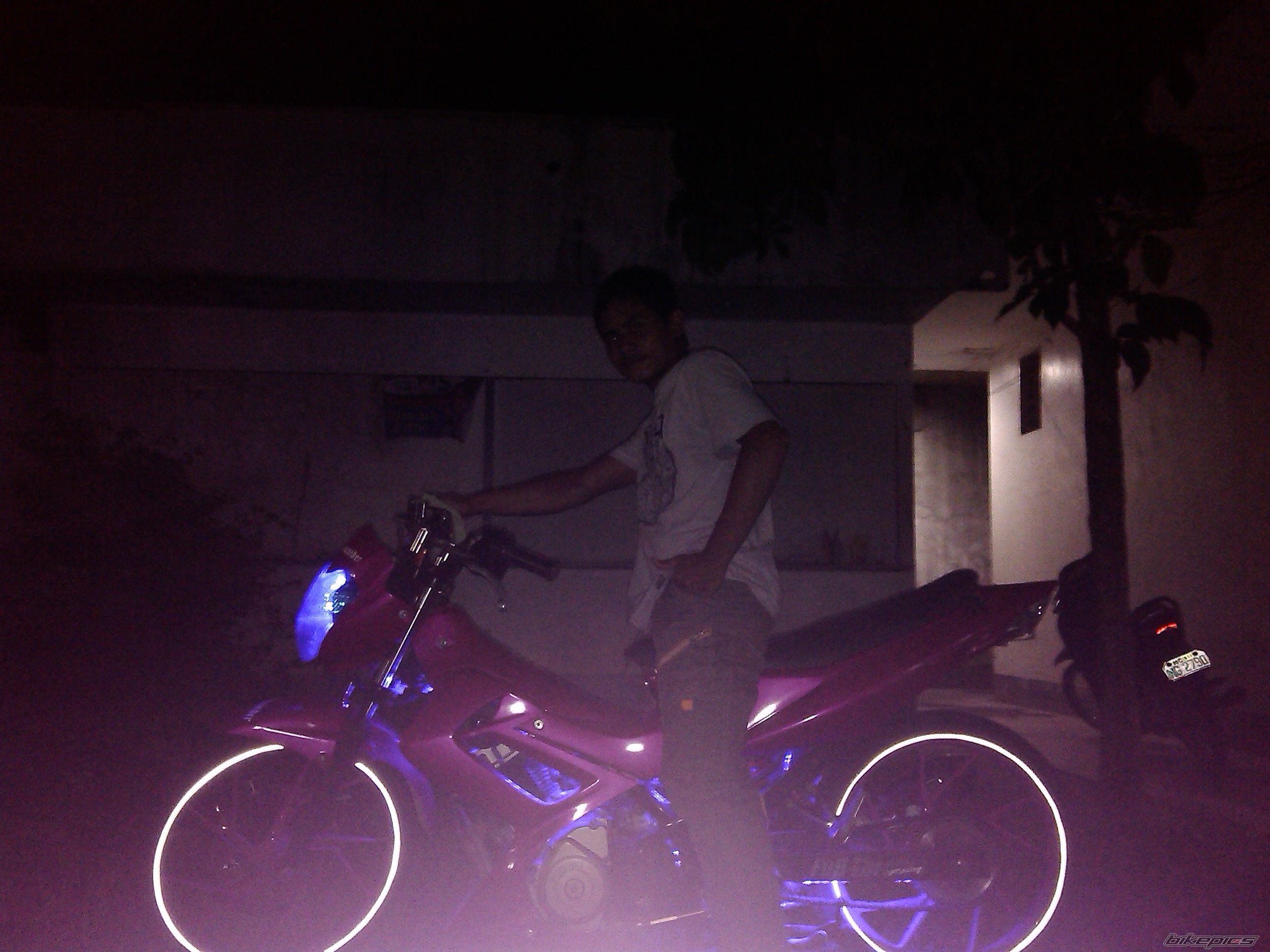 Photo 2565393
