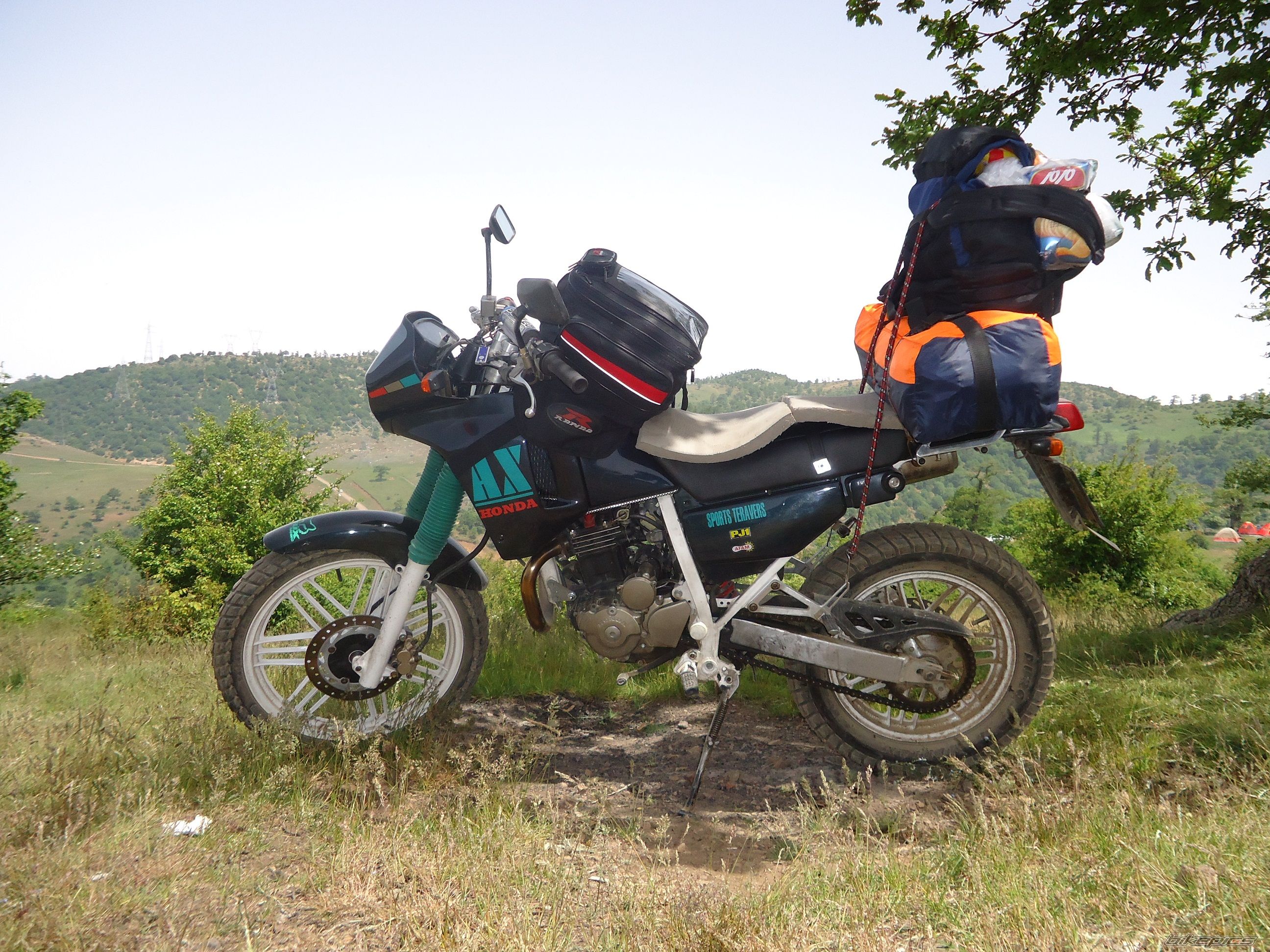 Photo 2565398