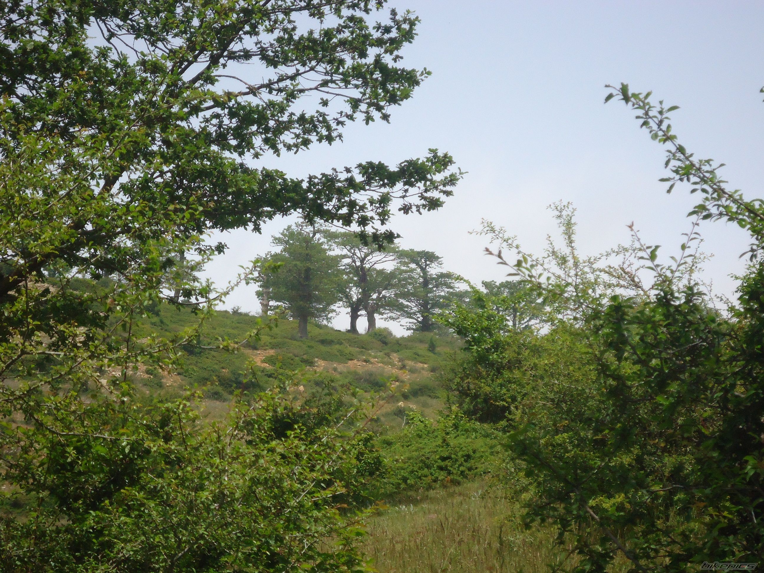 Photo 2565410