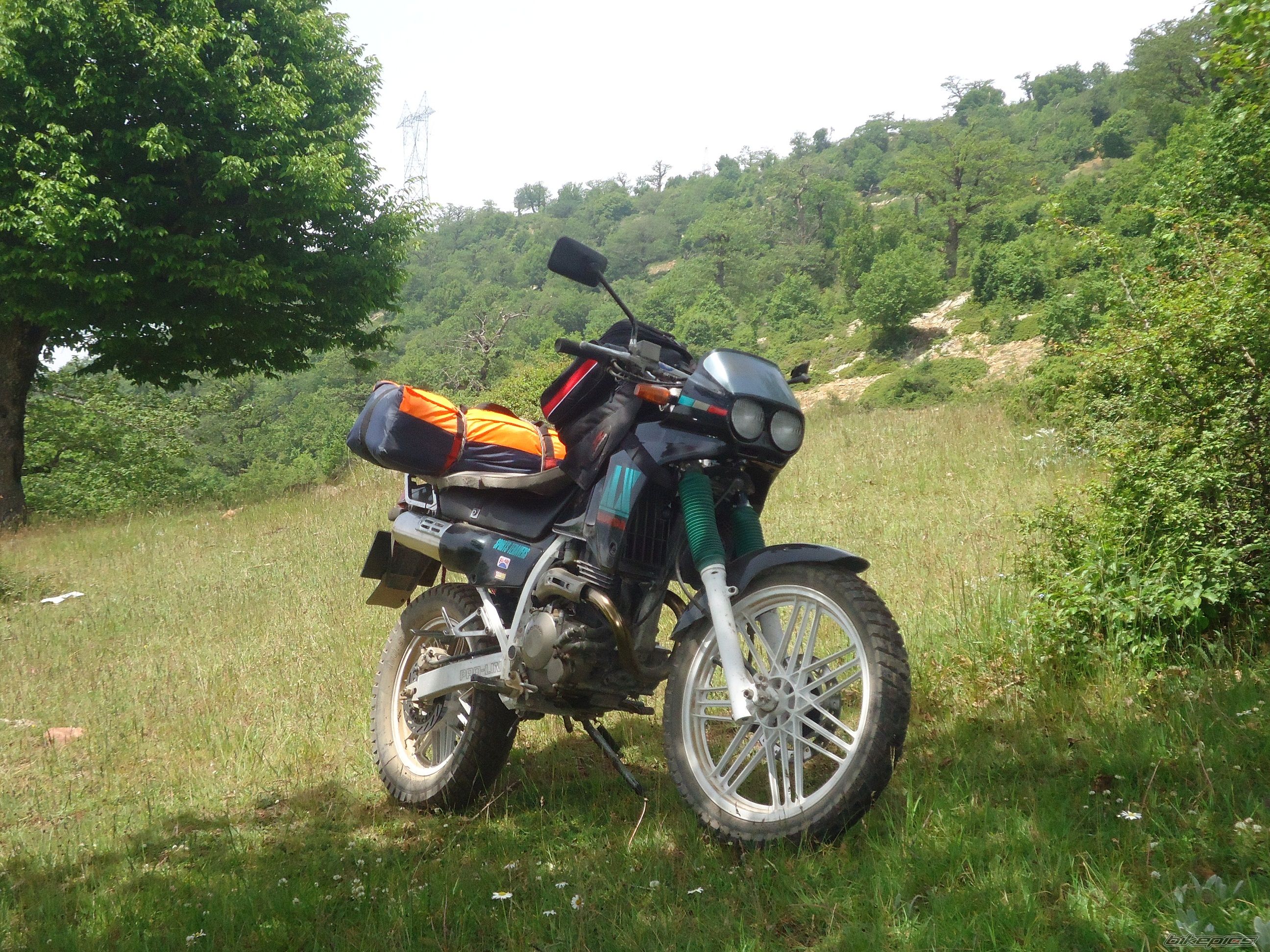 Photo 2565413