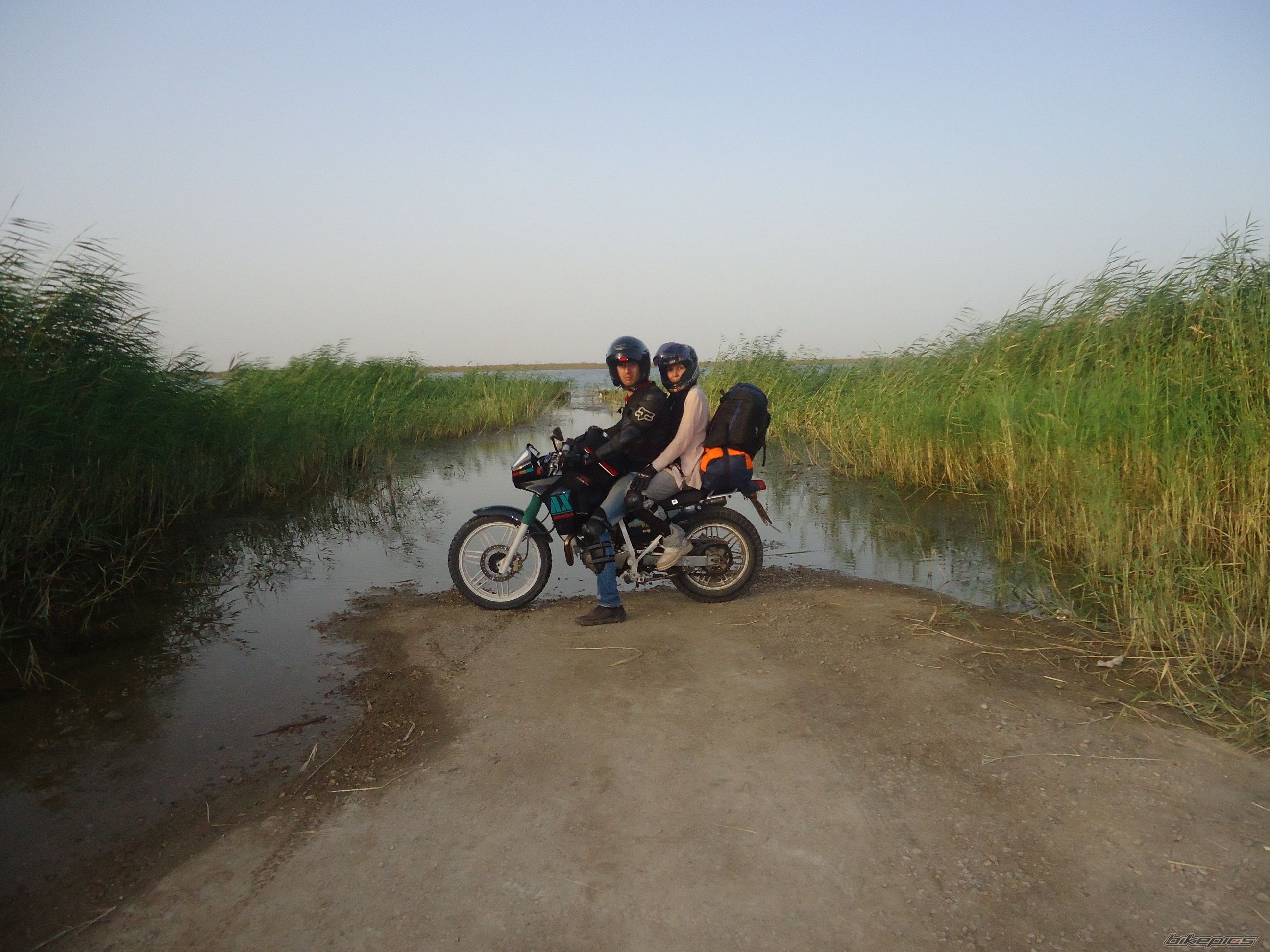 Photo 2565438