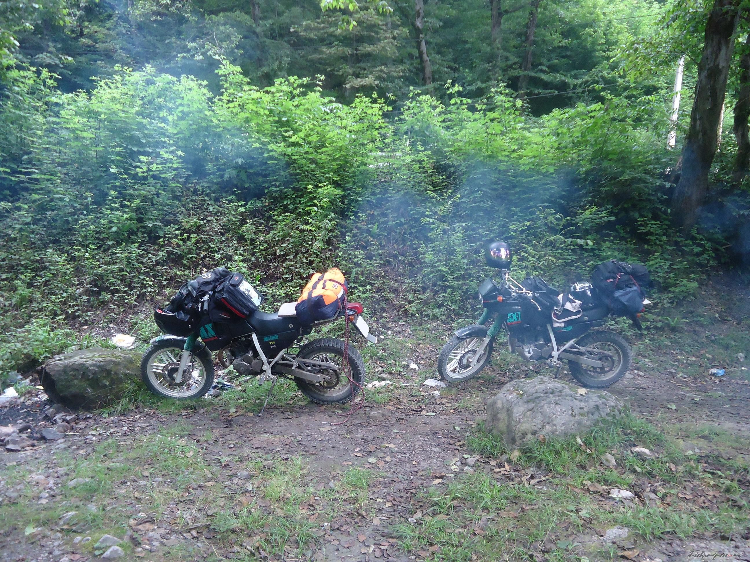 Photo 2565449