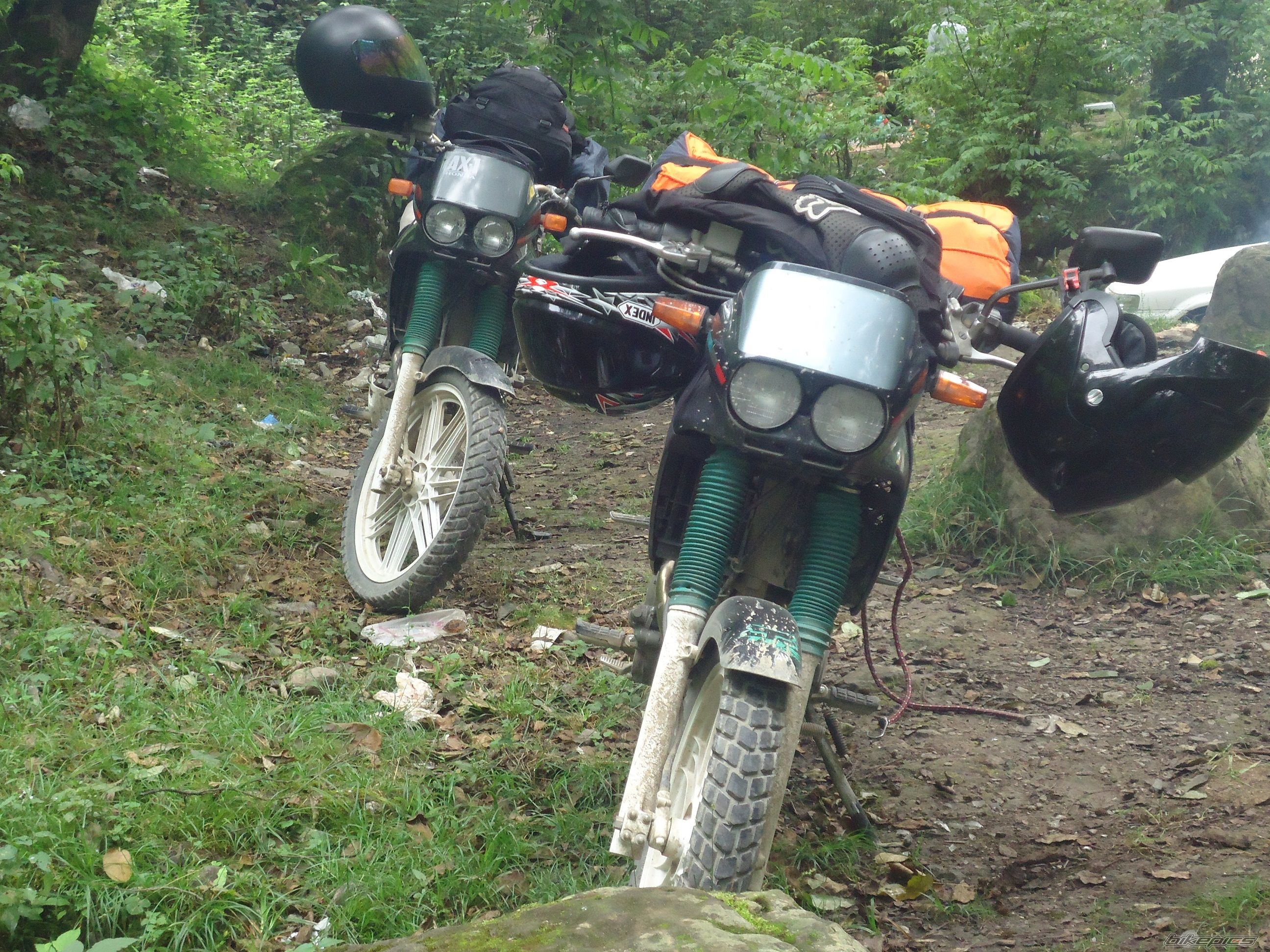 Photo 2565451