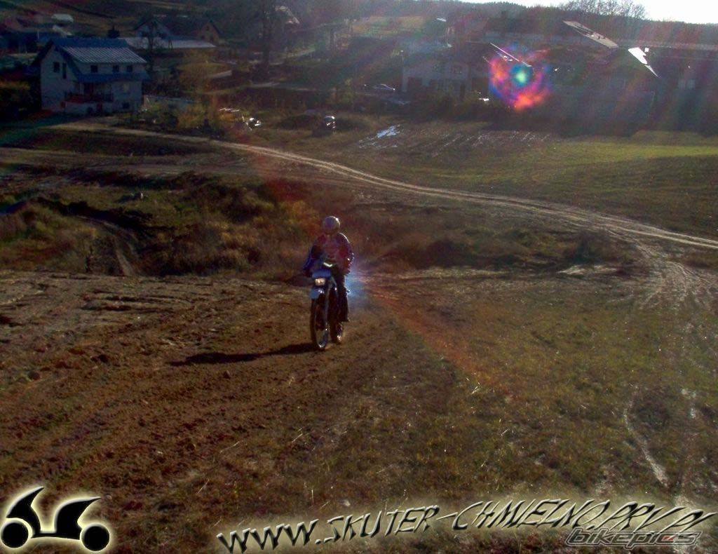 Photo 256549