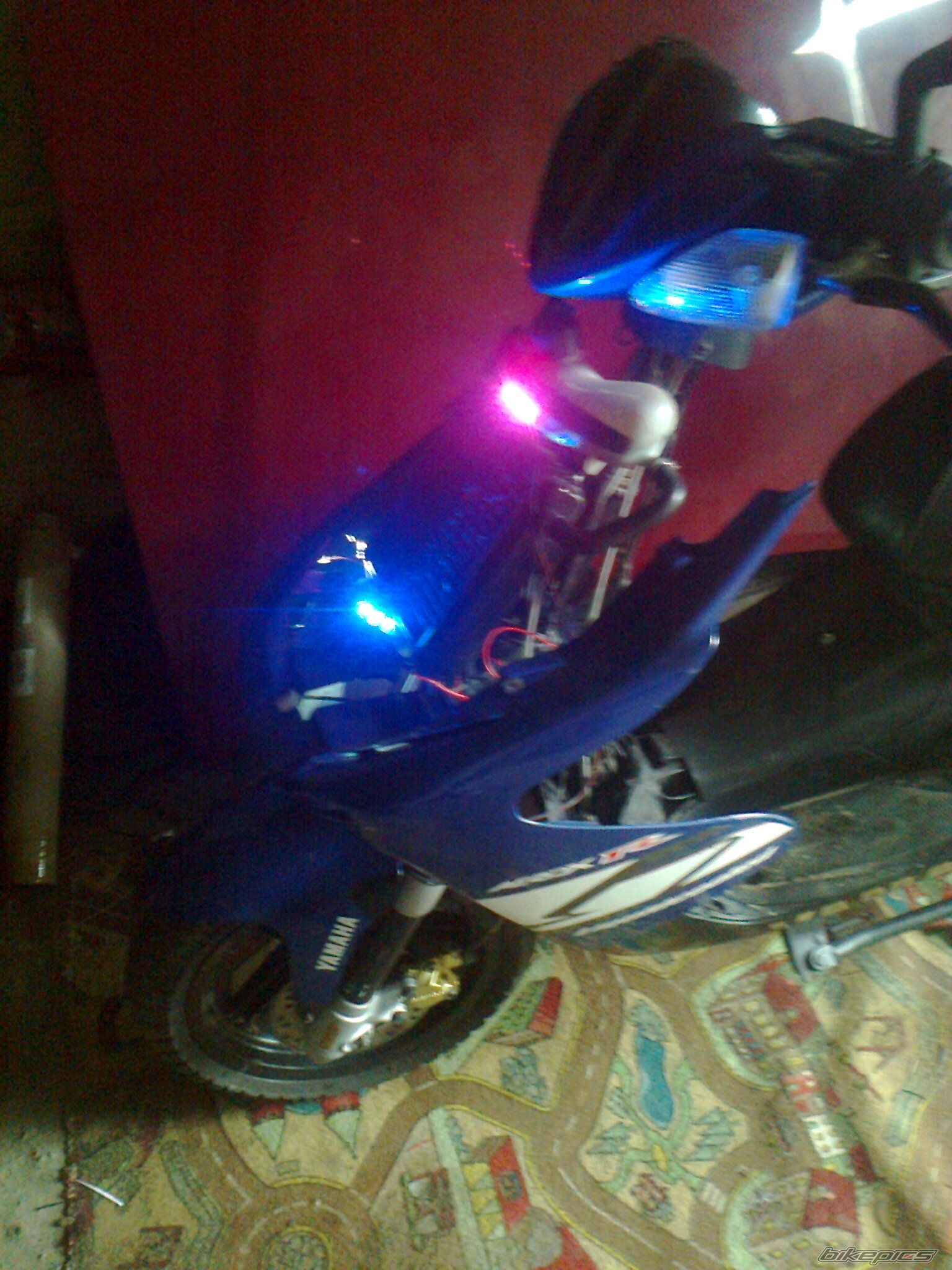 Photo 2565493