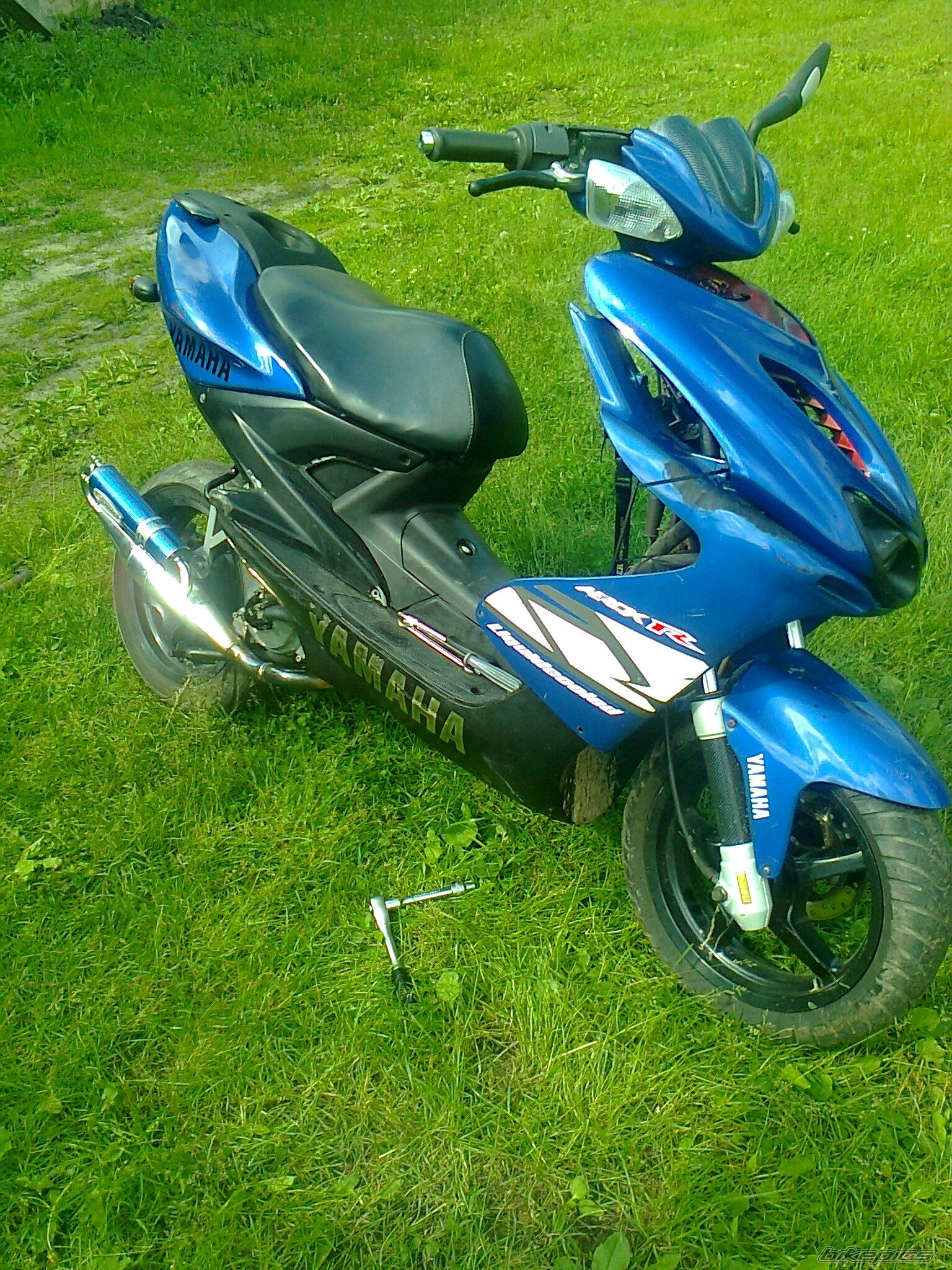 Photo 2565494