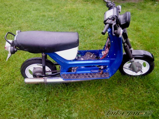 Photo 2565499