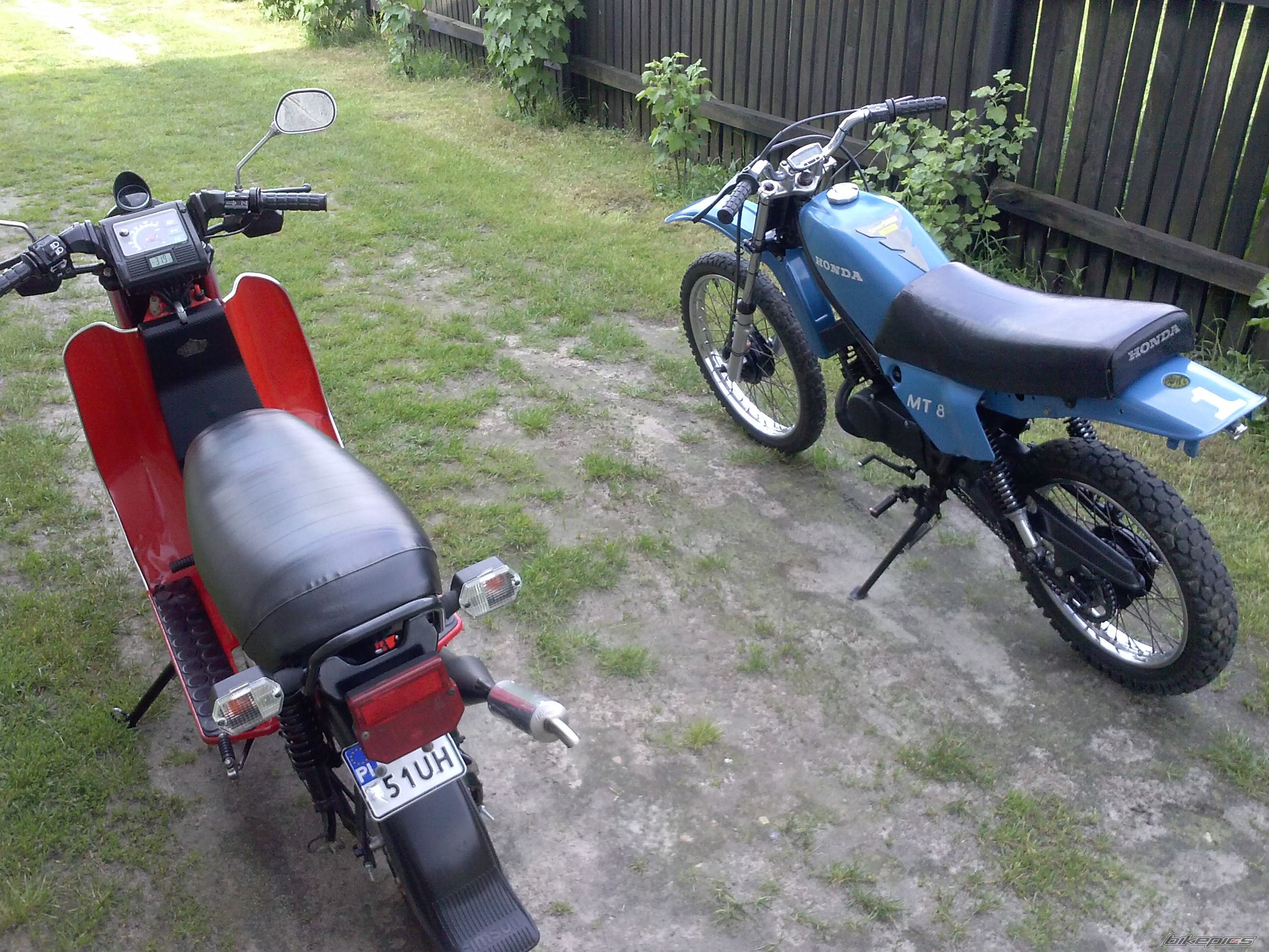 Photo 2565548