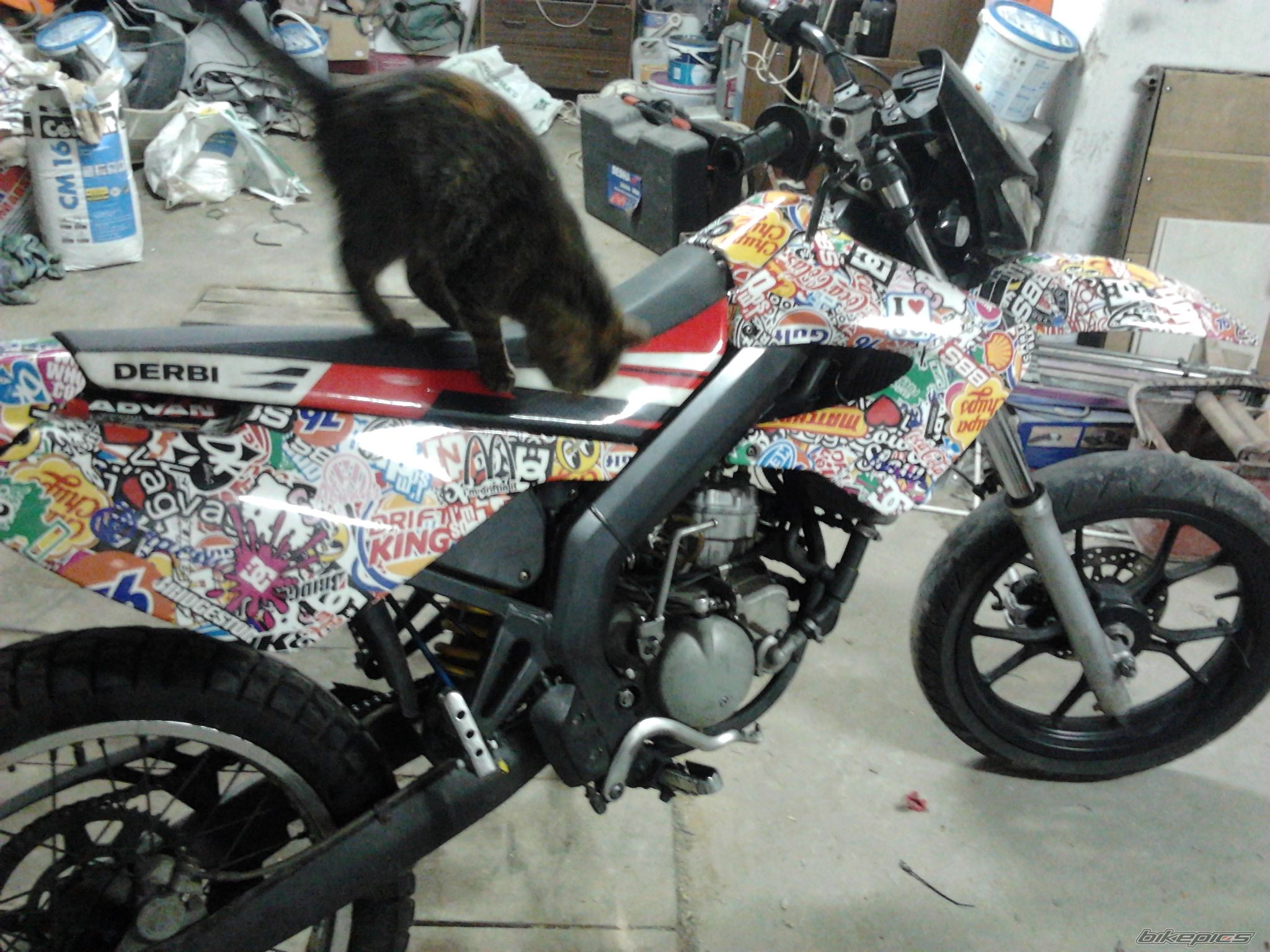 Photo 2565584