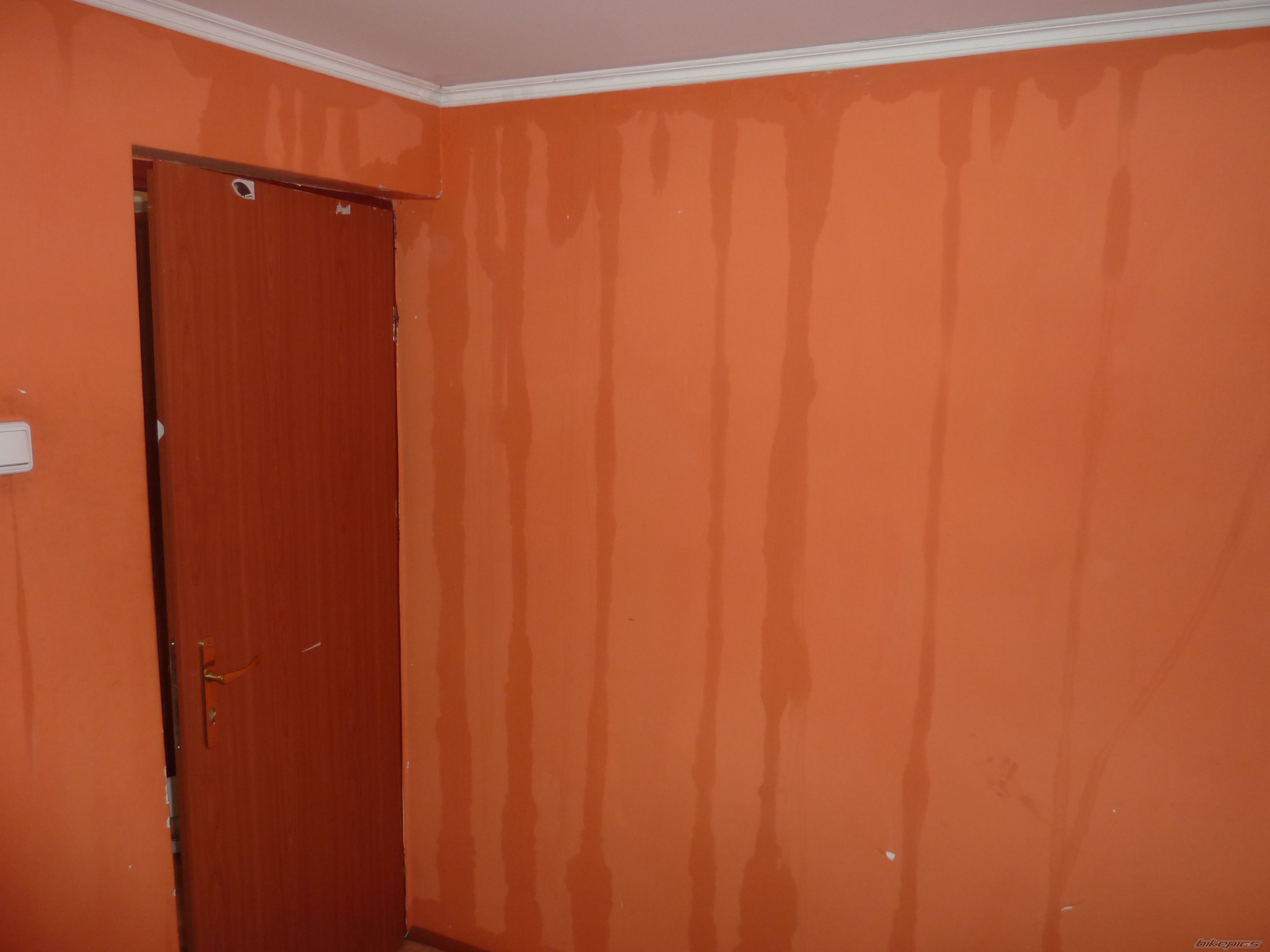 Photo 2565605
