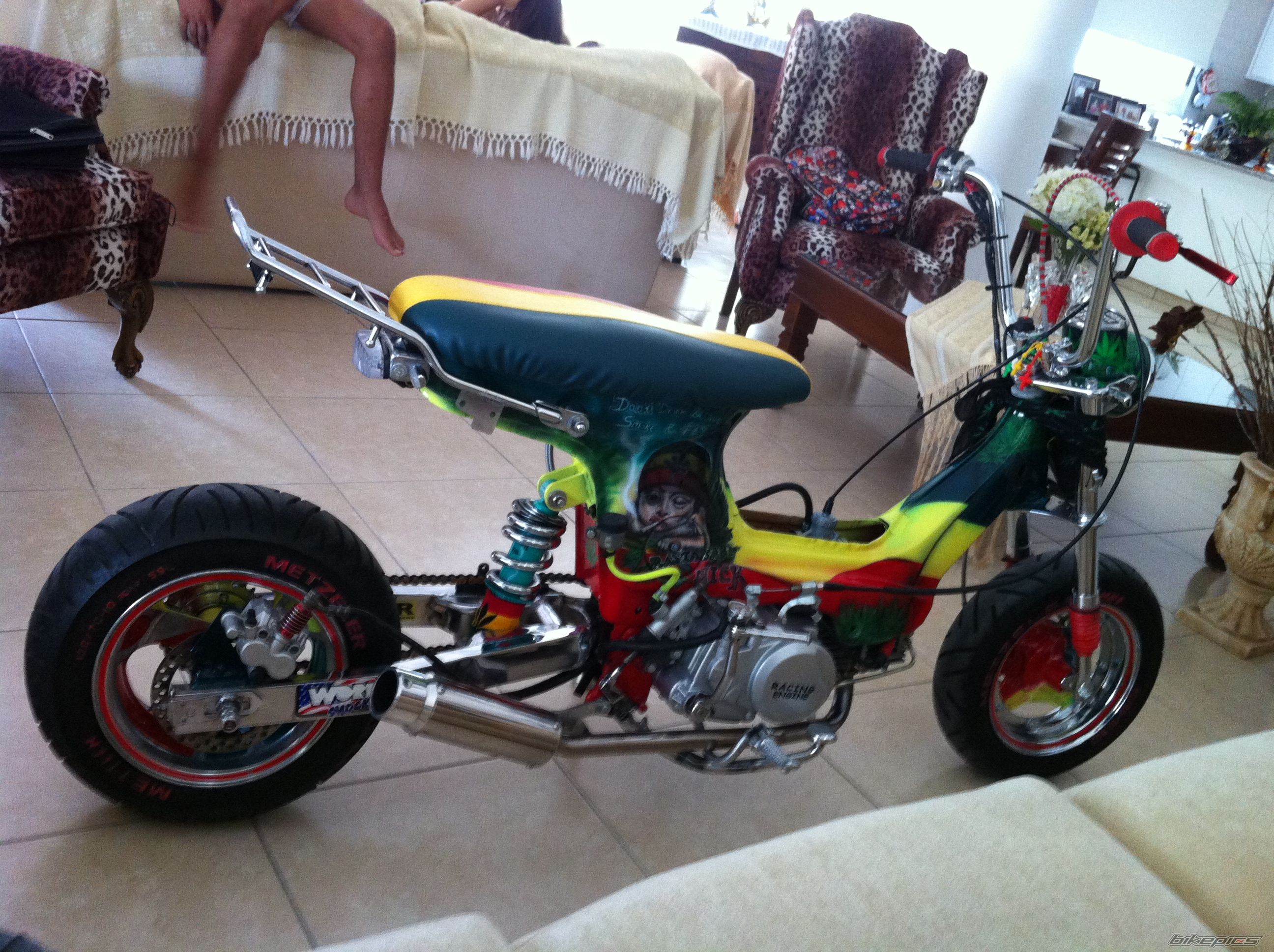 Photo 2565655