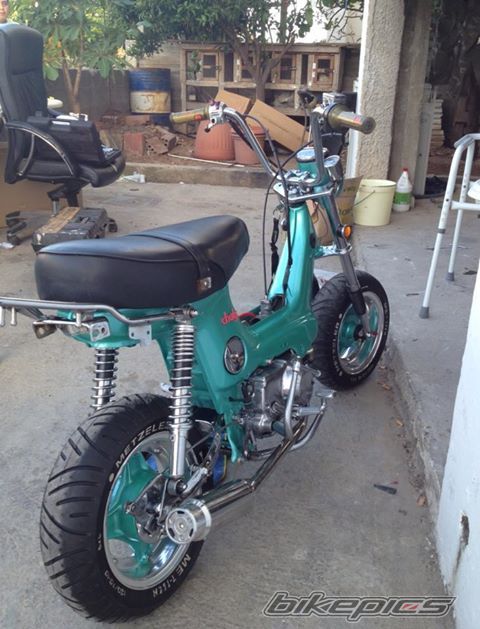 Photo 2565656