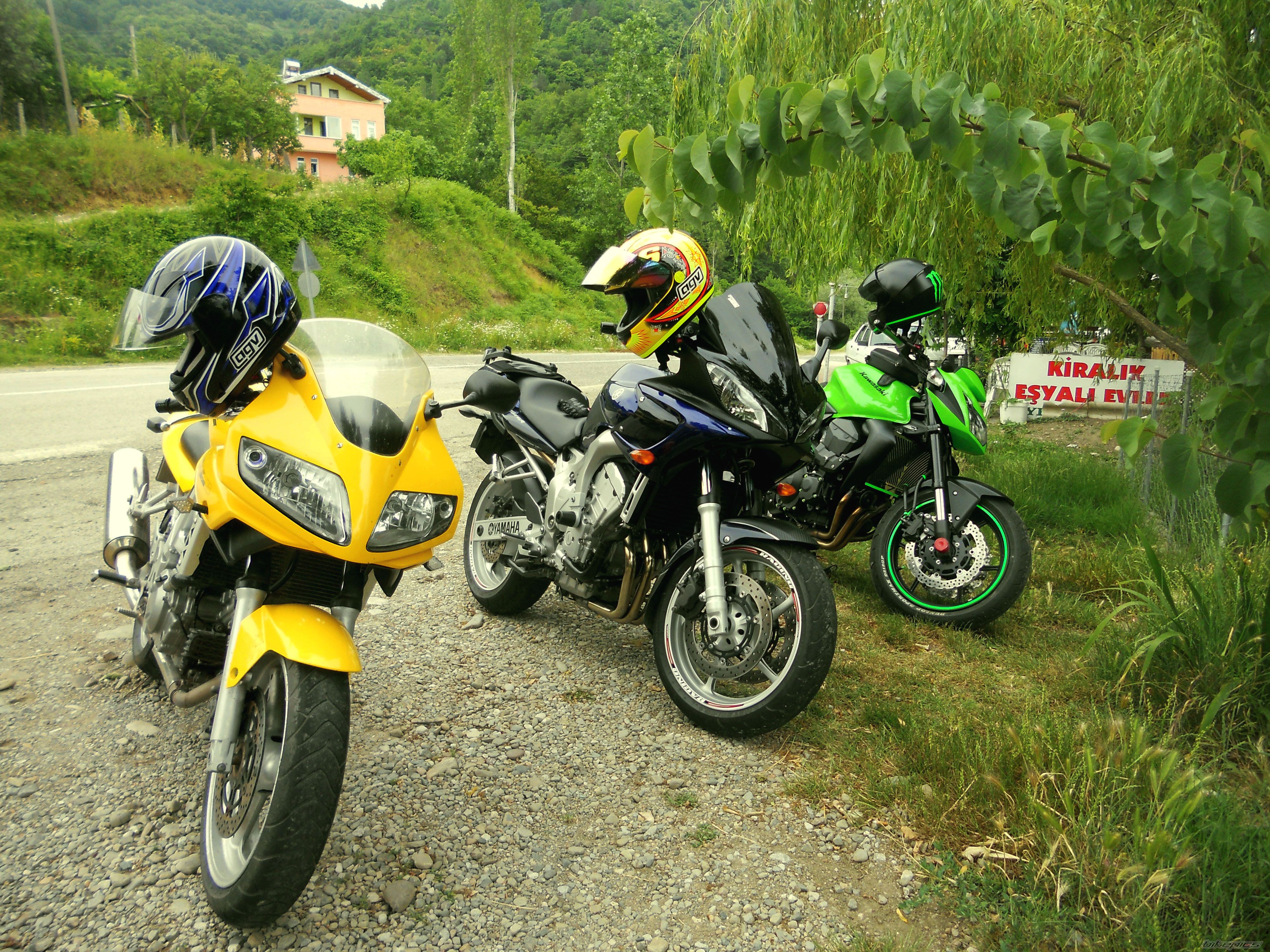 Photo 2565685