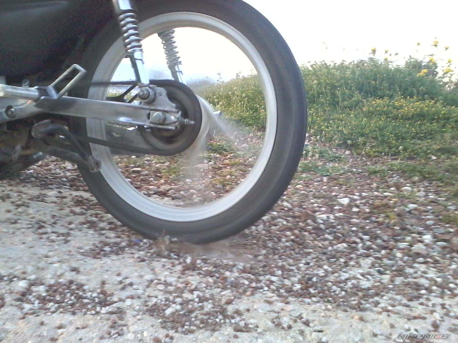Photo 2565794