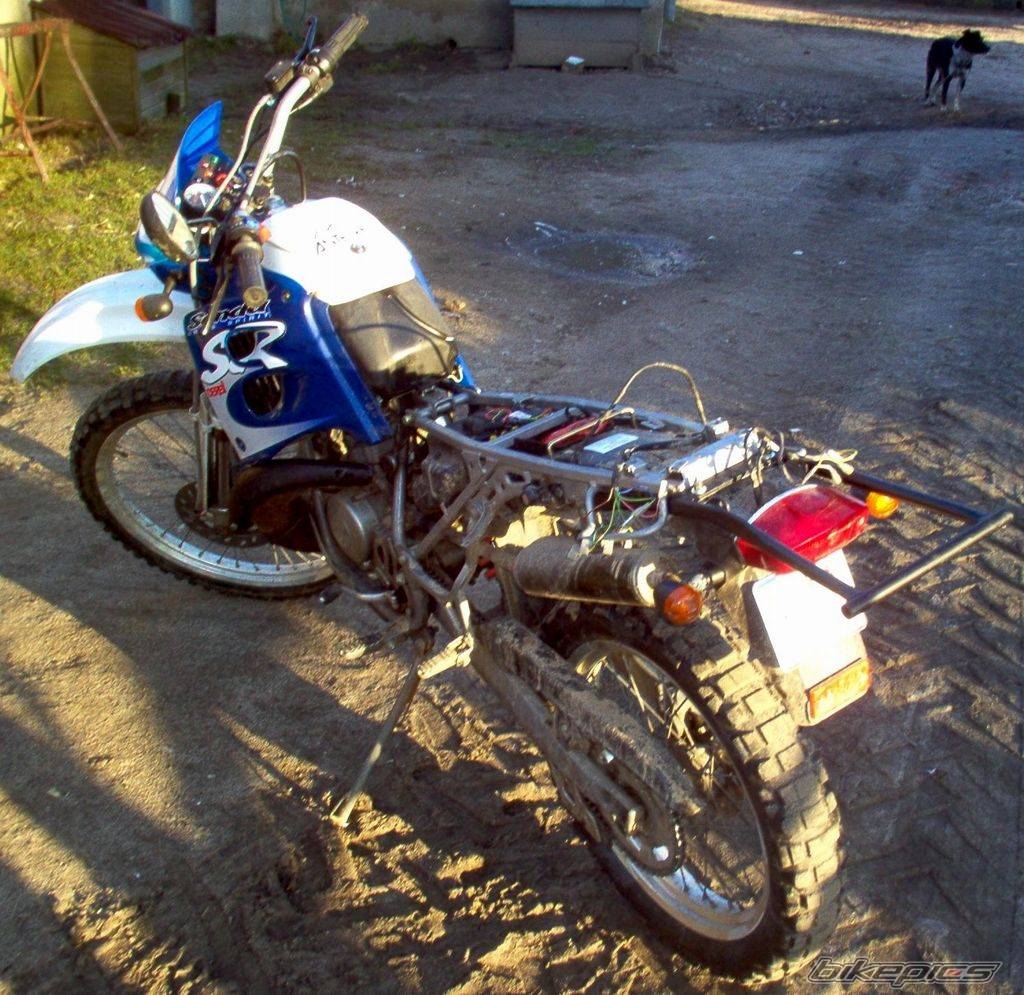 Photo 256581