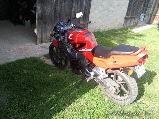 Photo 2565838