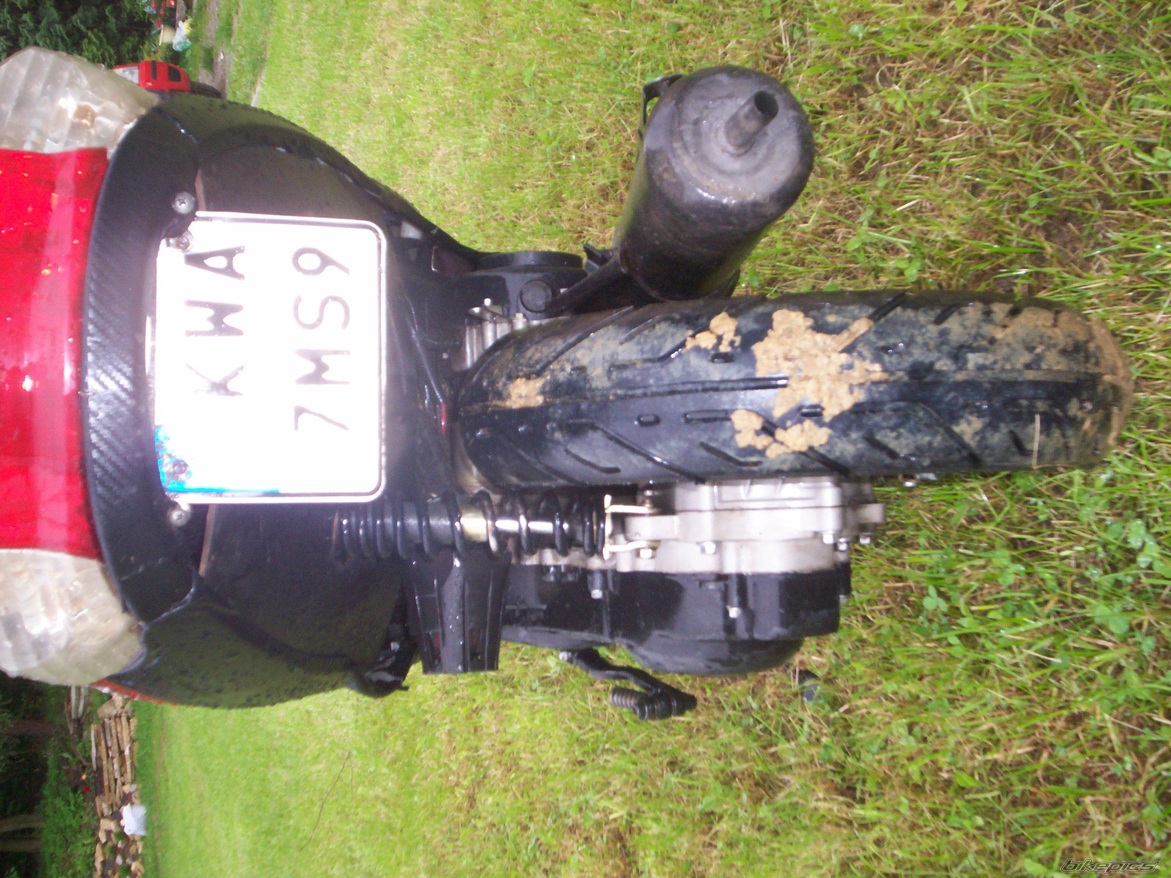 Photo 2565848
