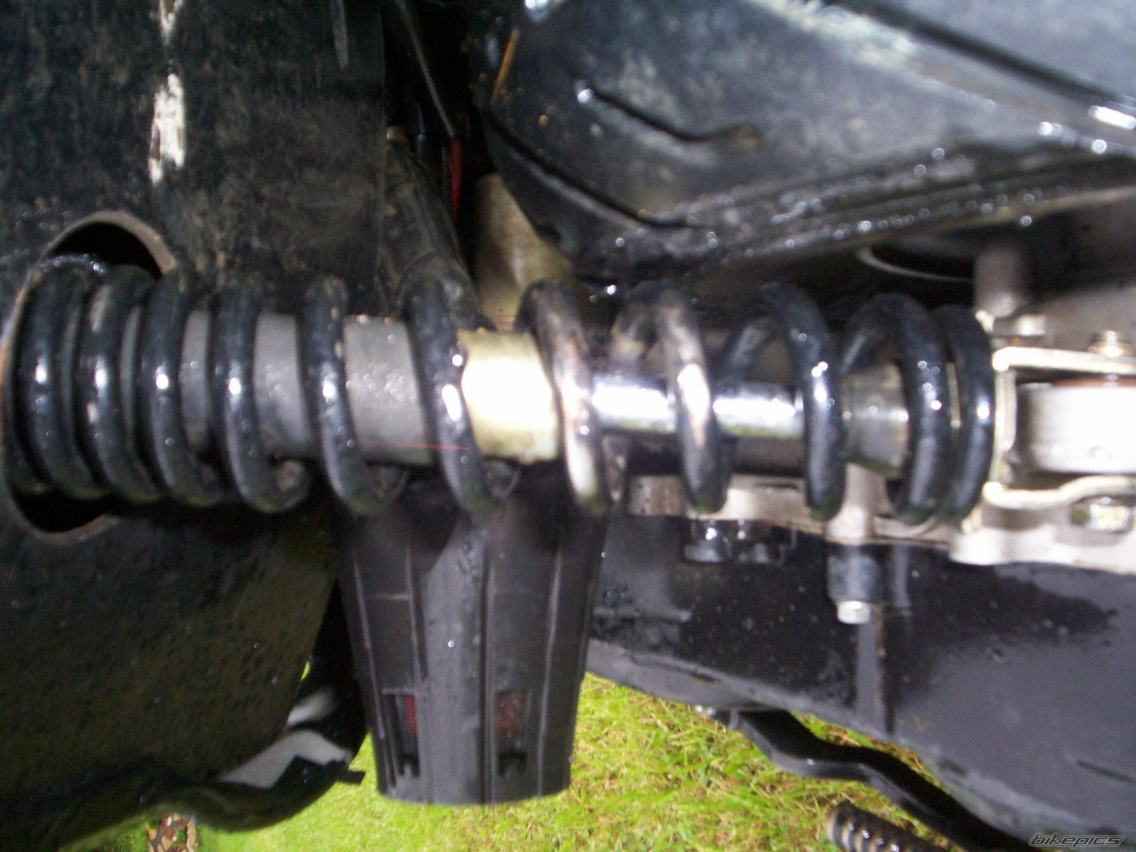 Photo 2565849