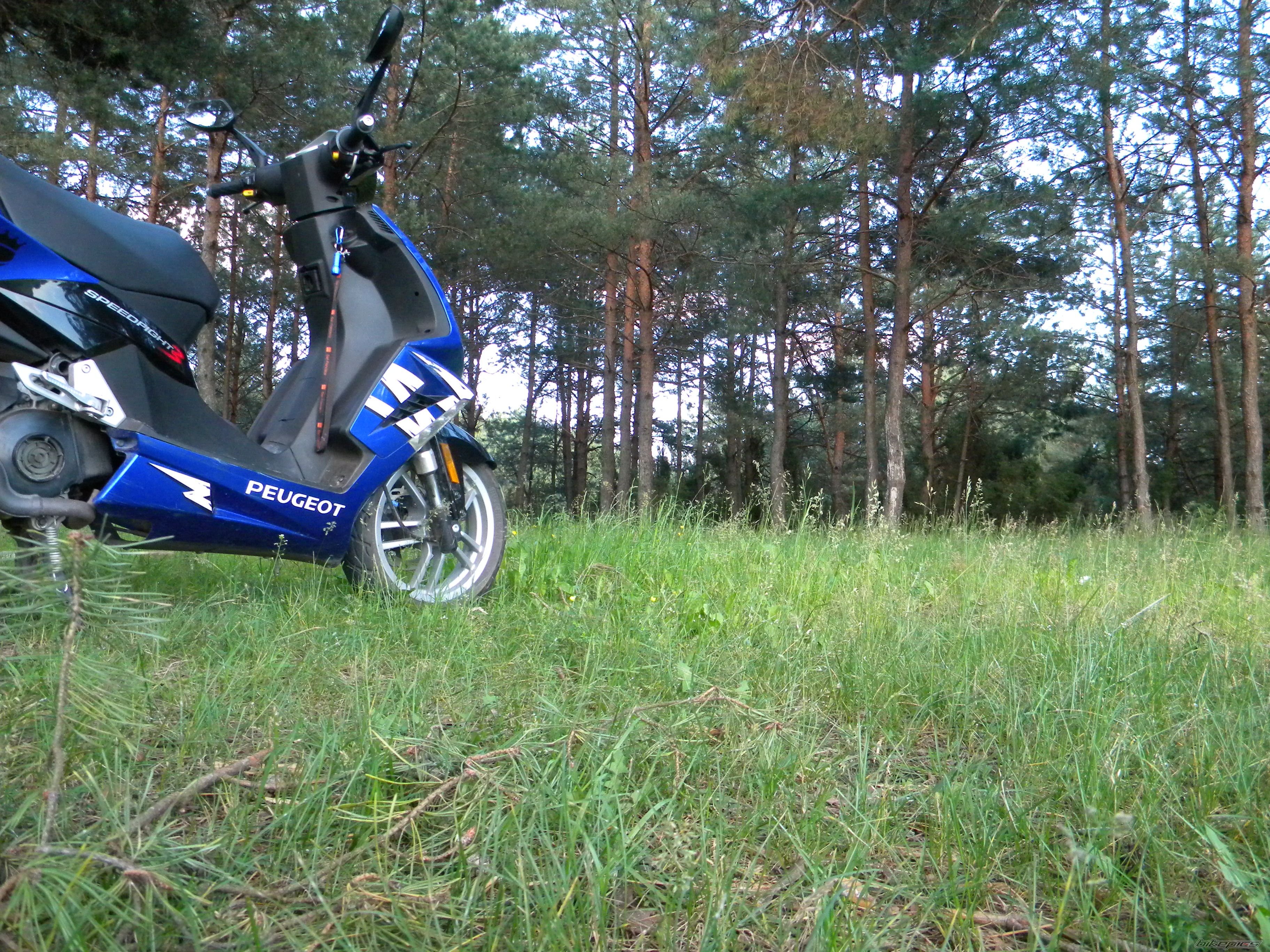 Photo 2565852