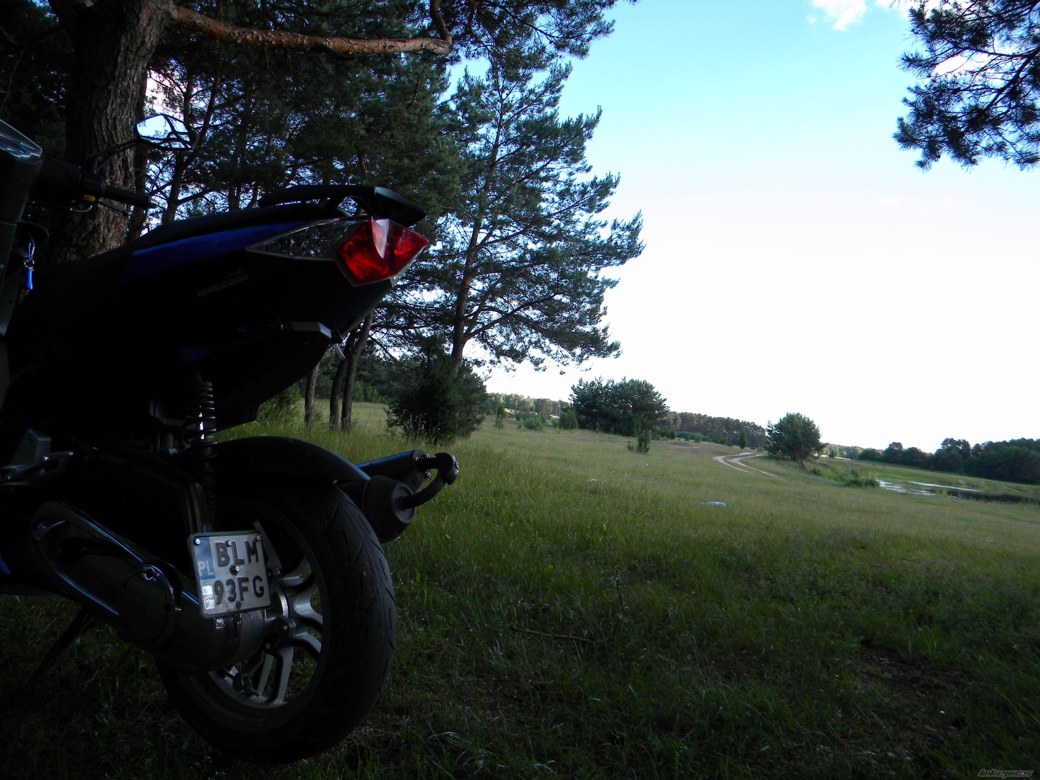 Photo 2565853