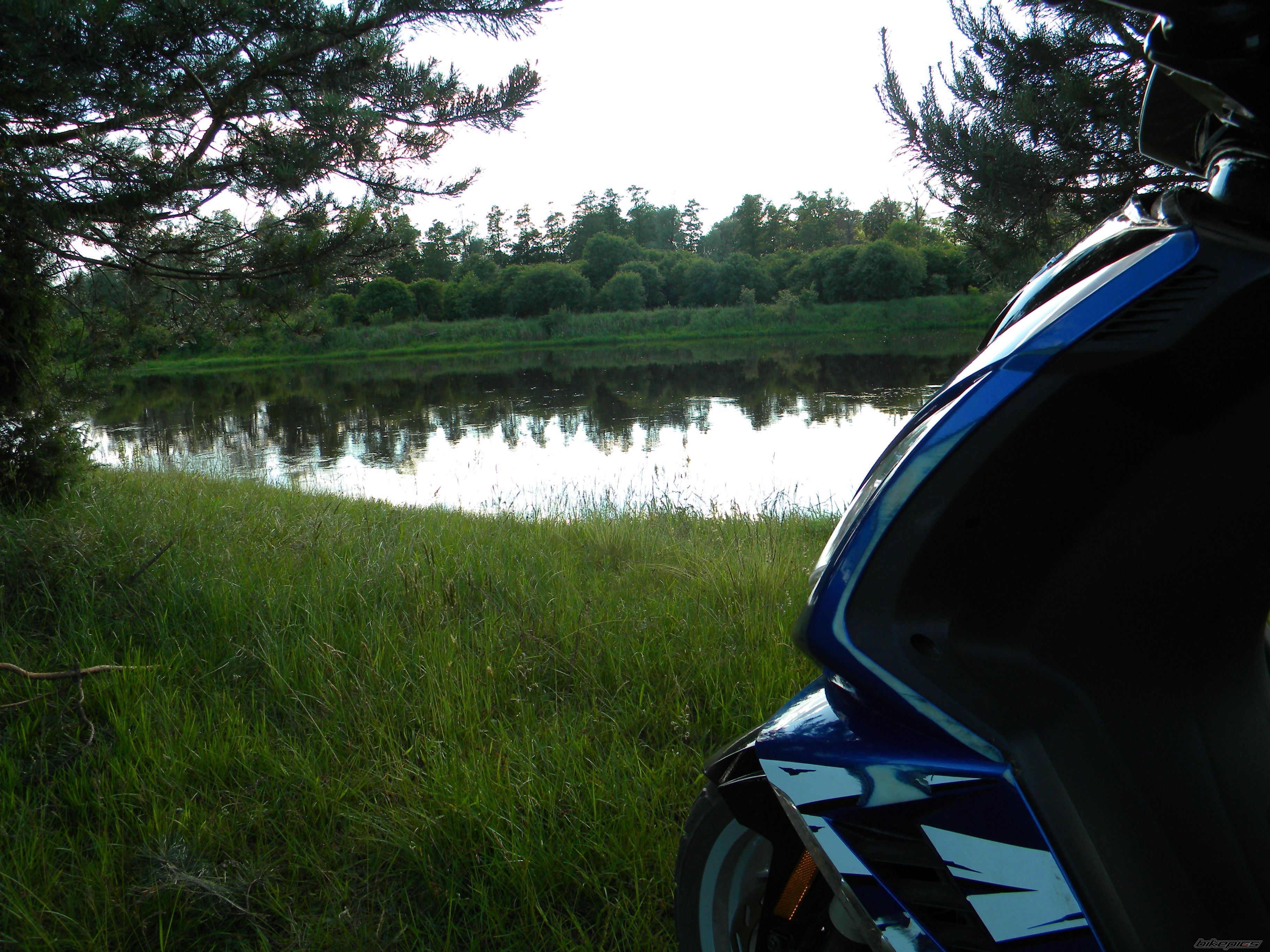 Photo 2565856