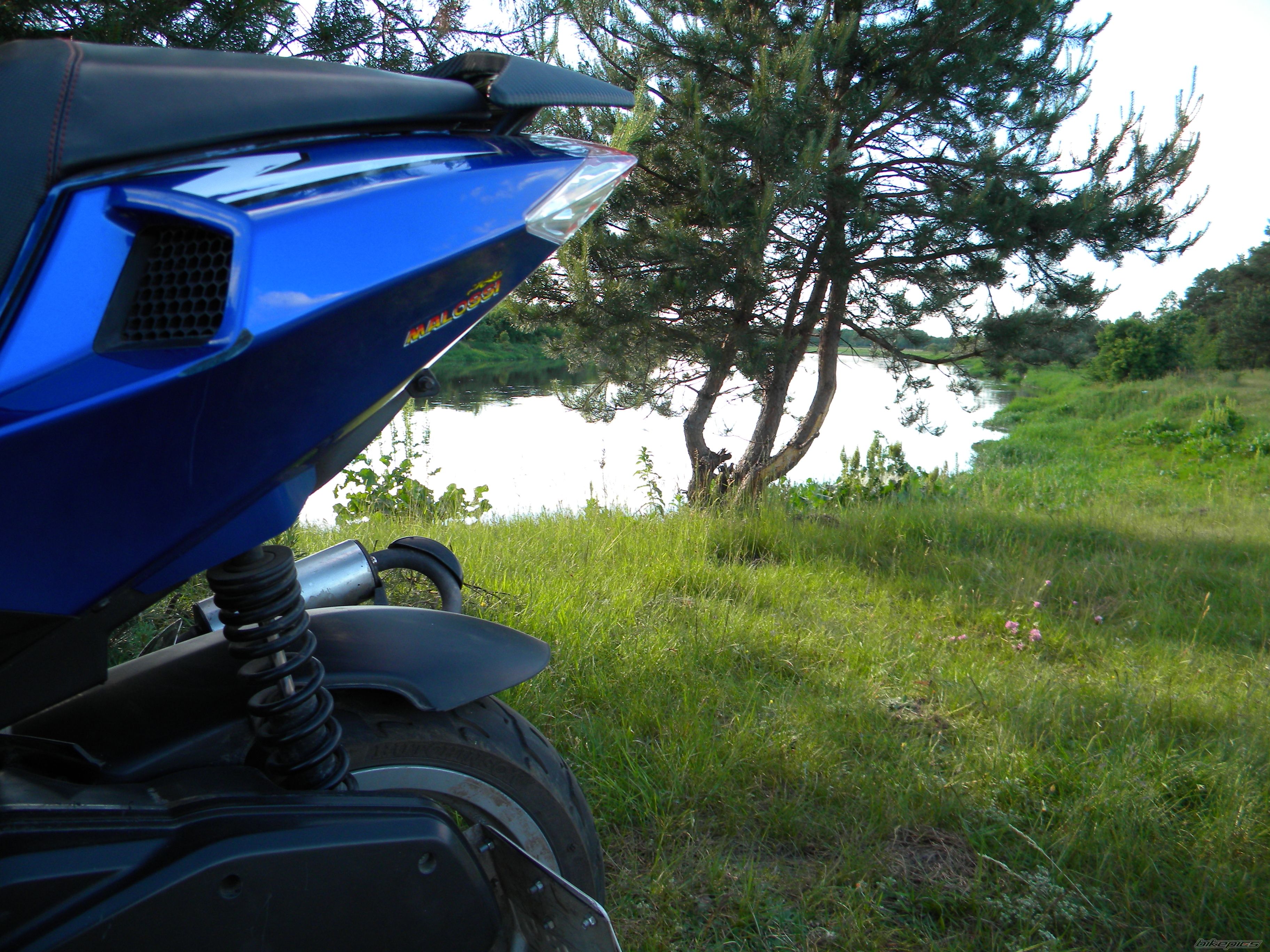 Photo 2565858