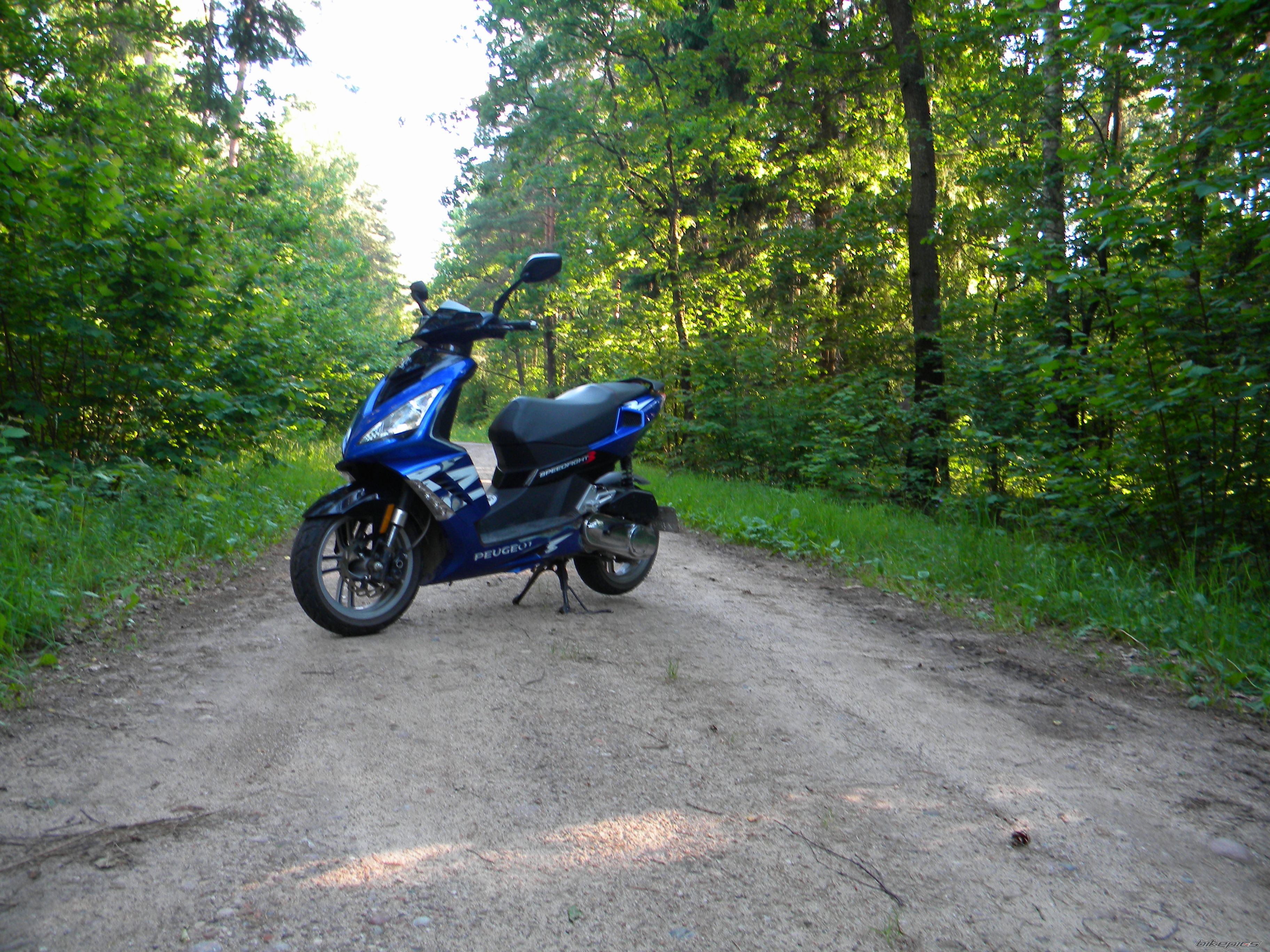 Photo 2565864