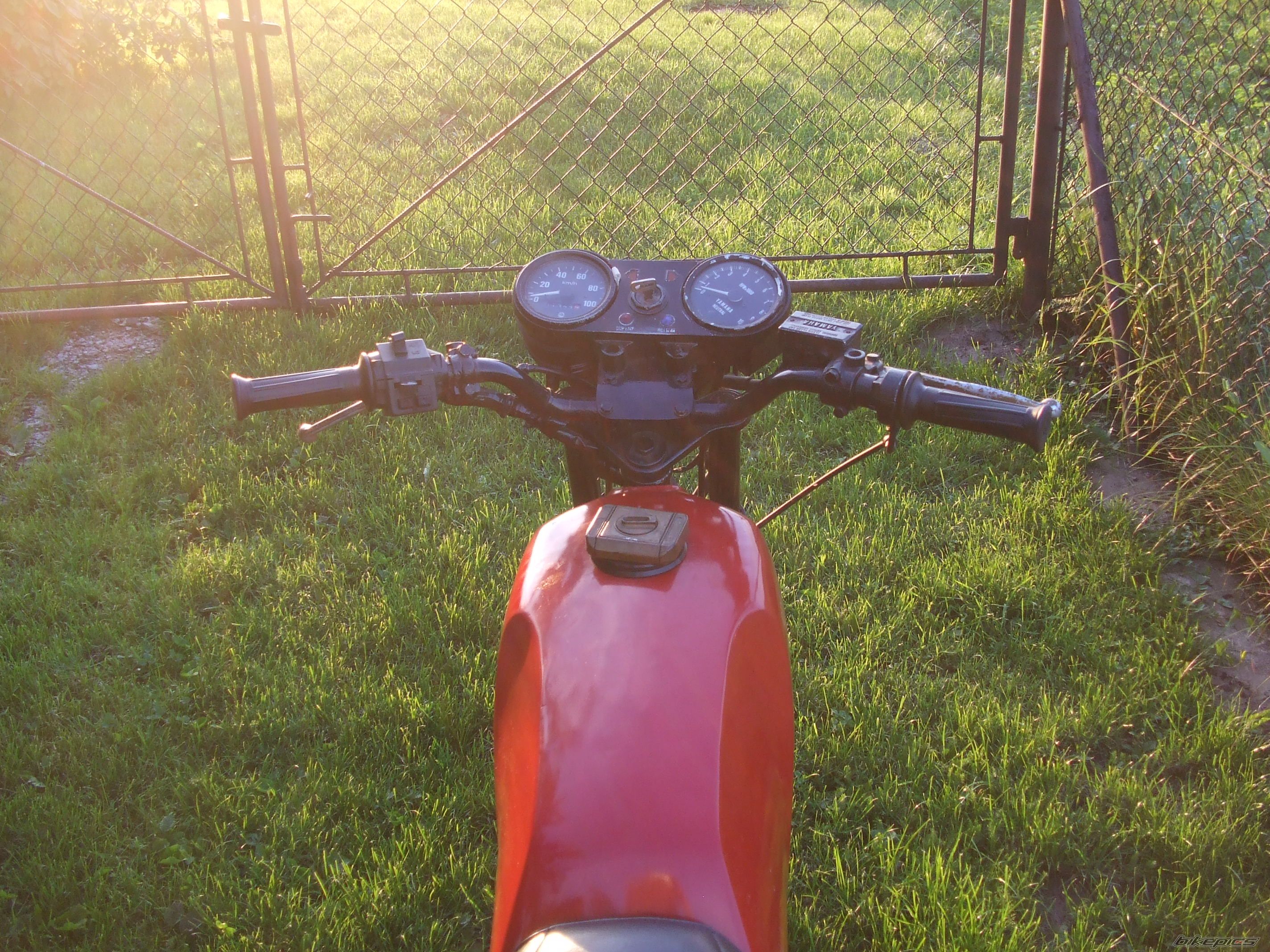 Photo 2565903