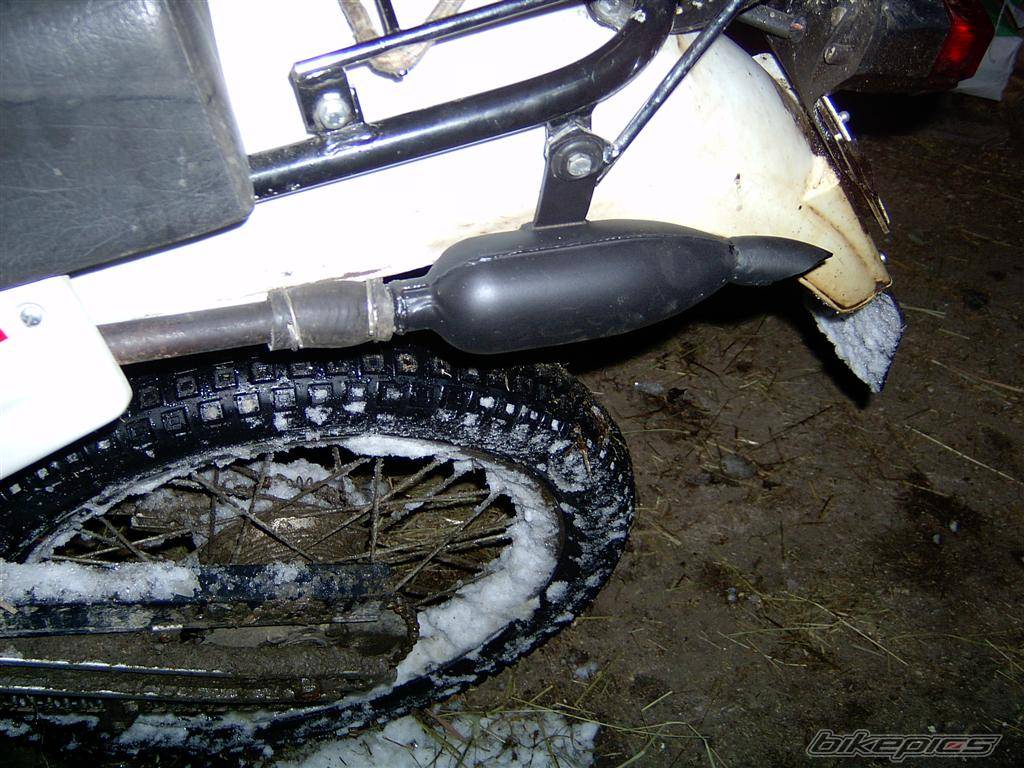 Photo 256592
