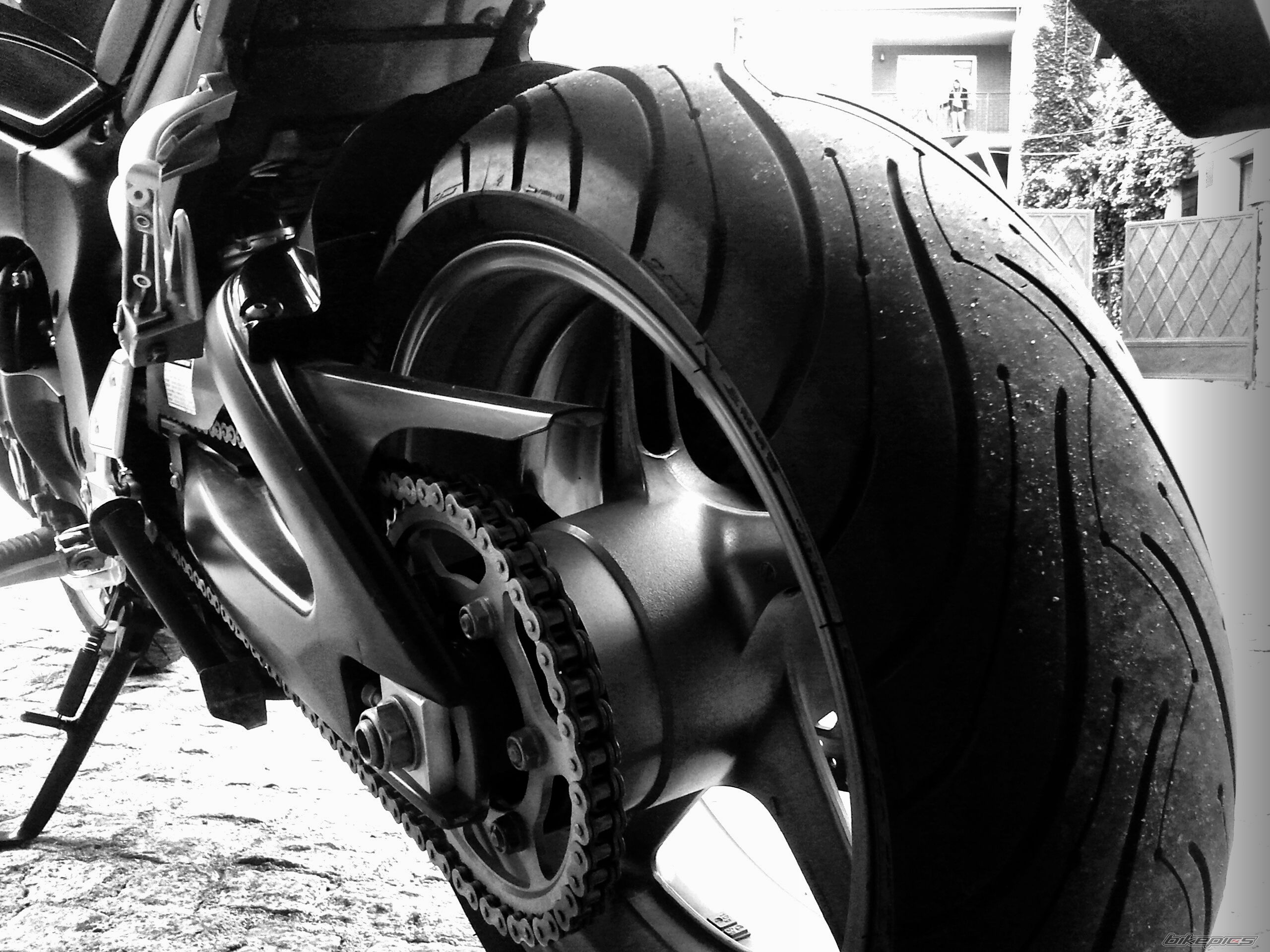Photo 2565965