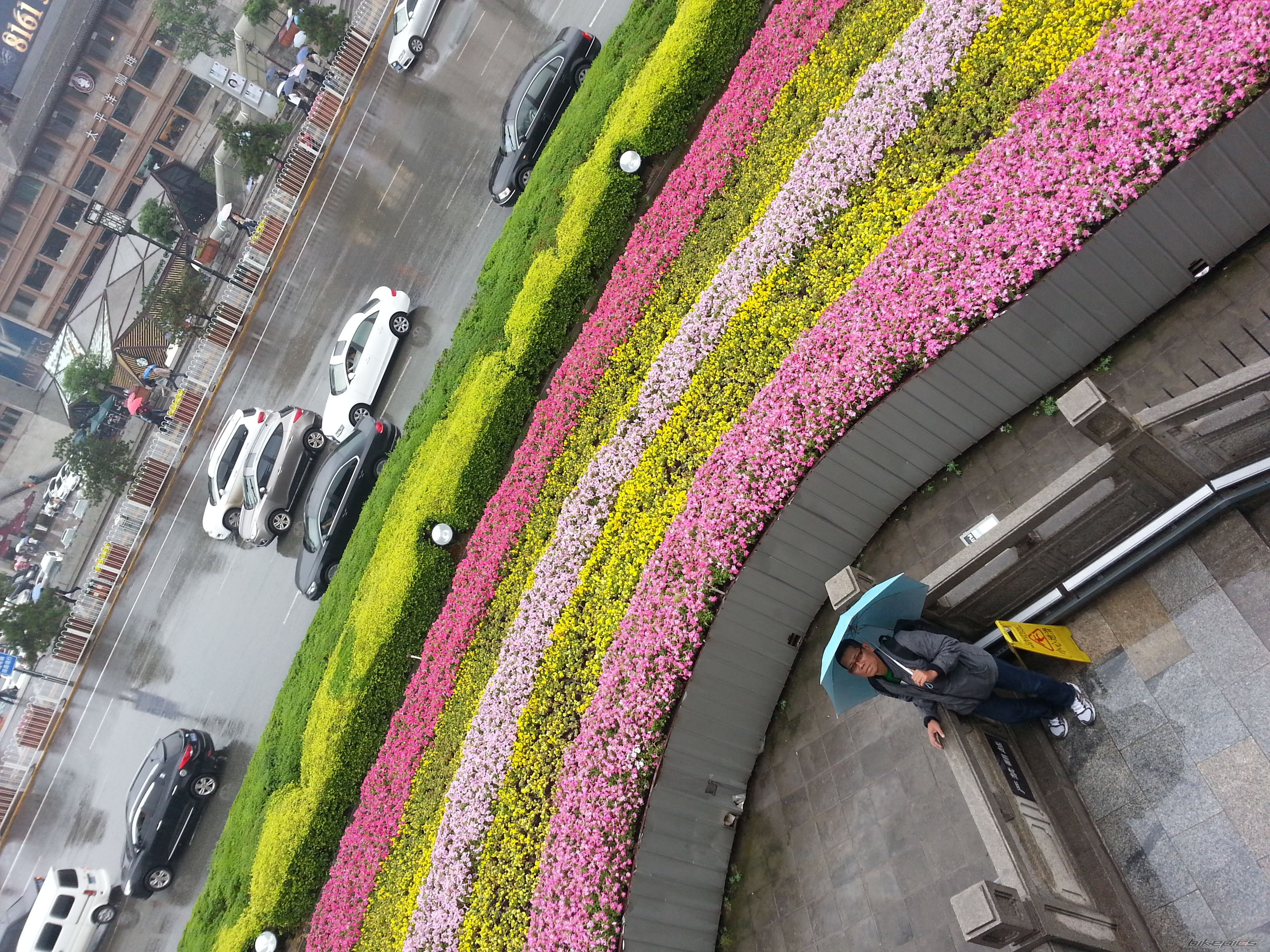 Photo 2565971