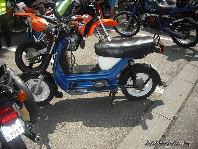 Photo 2565975