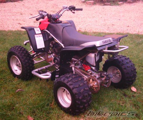 Photo 256598