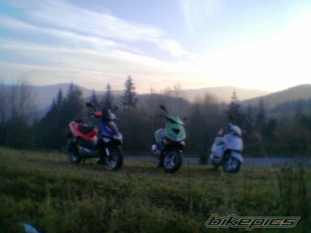 Photo 256599