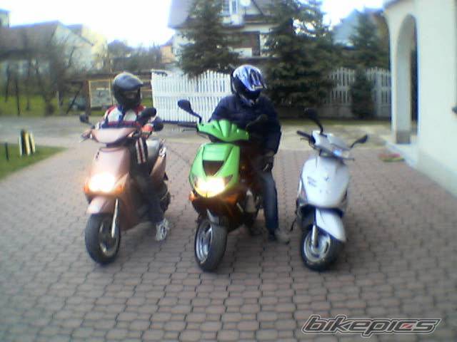 Photo 256601