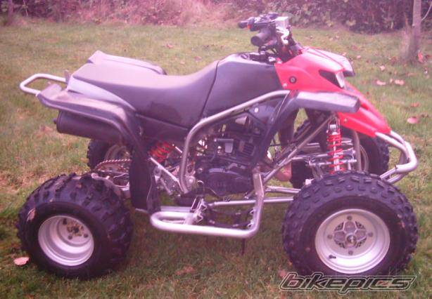 Photo 256602