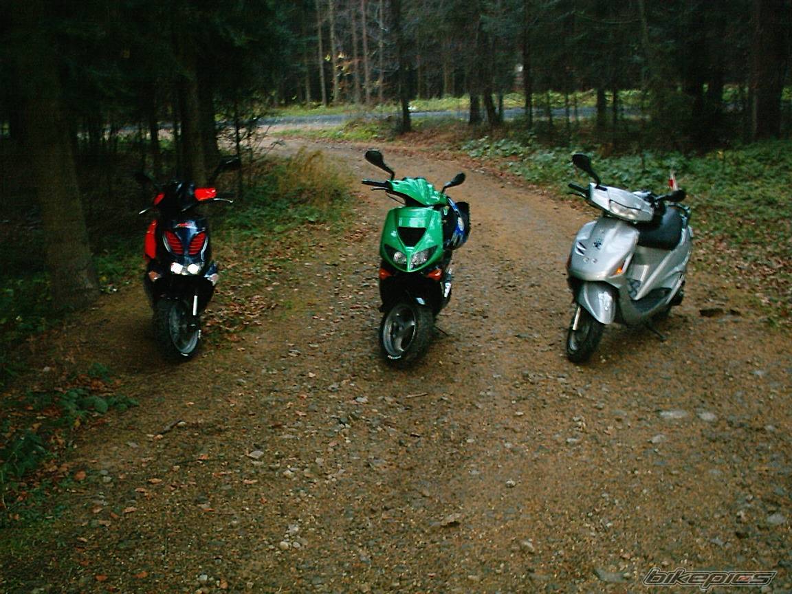 Photo 256603