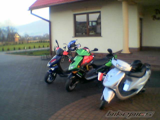 Photo 256604