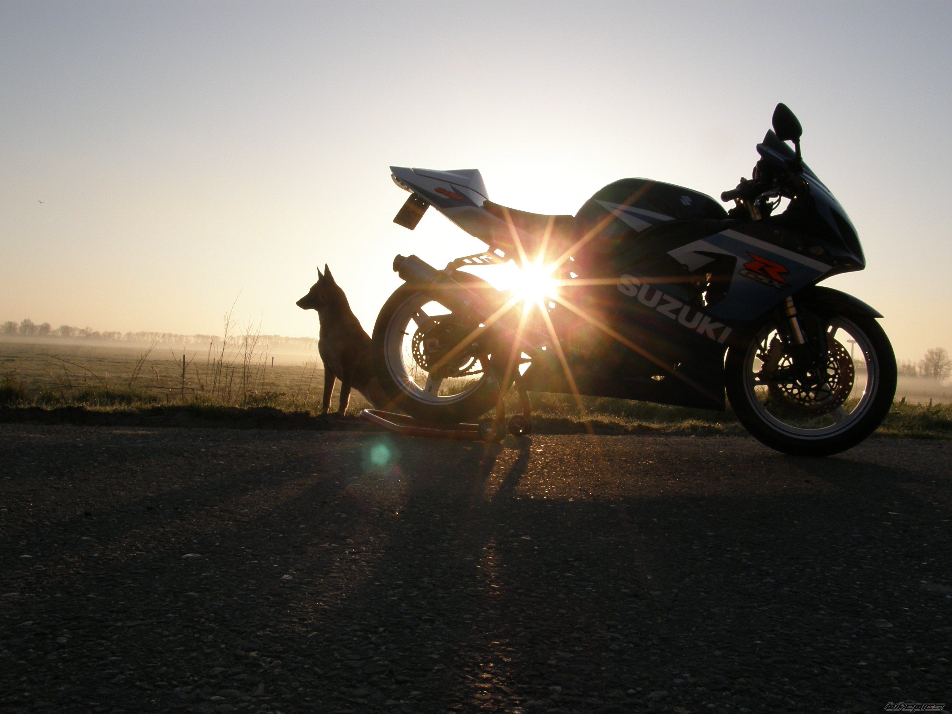 Bike Photo 2566048