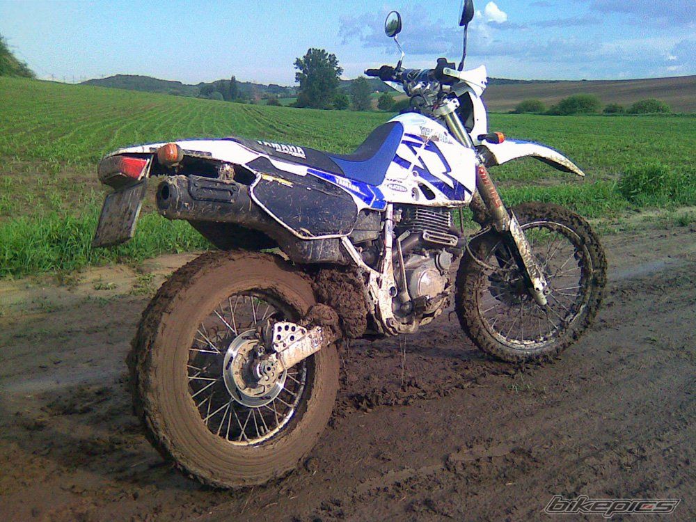 Photo 2566064